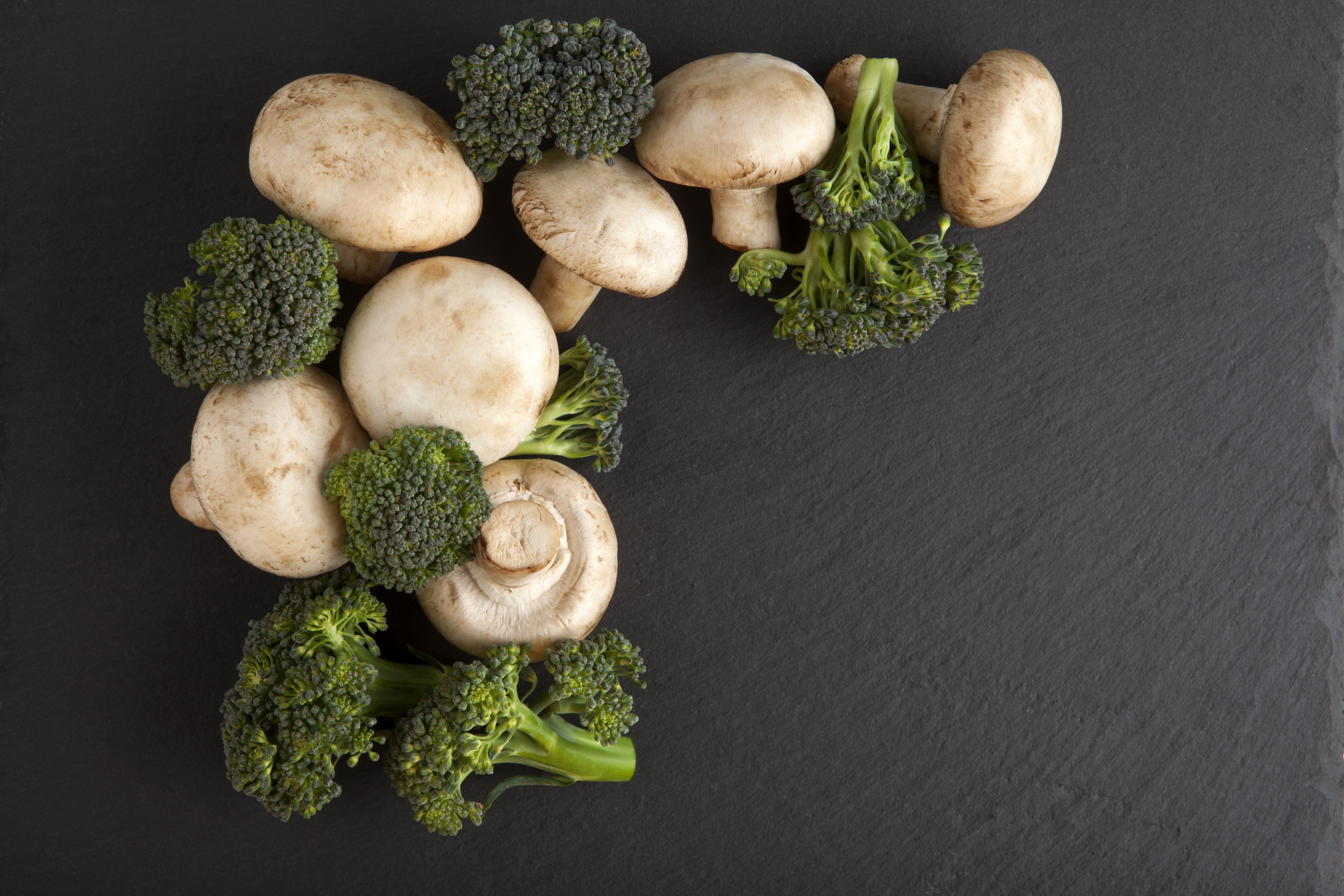 Mushrooms and Broccoli on Gray Background HD Wallpaper