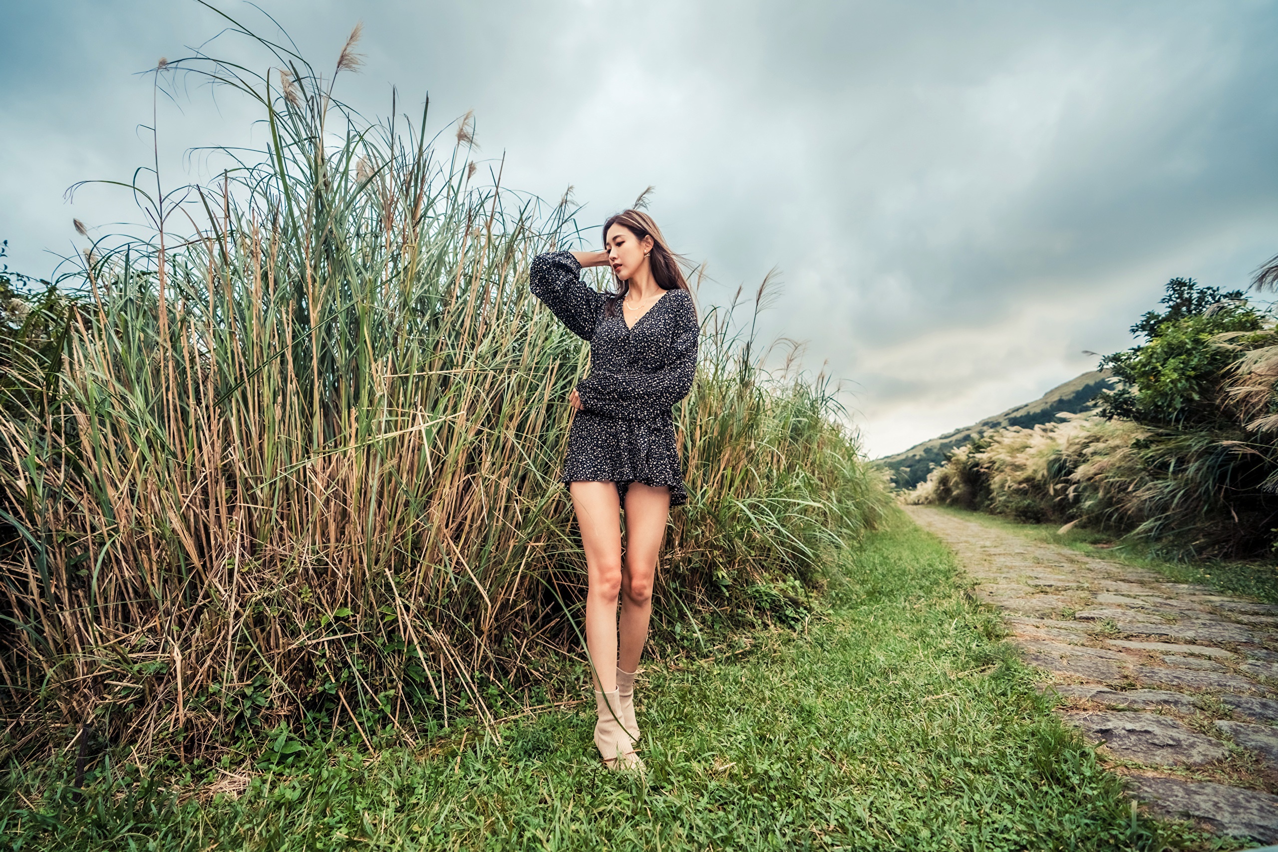 Asian woman in a dress posing near tall grass HD Wallpaper