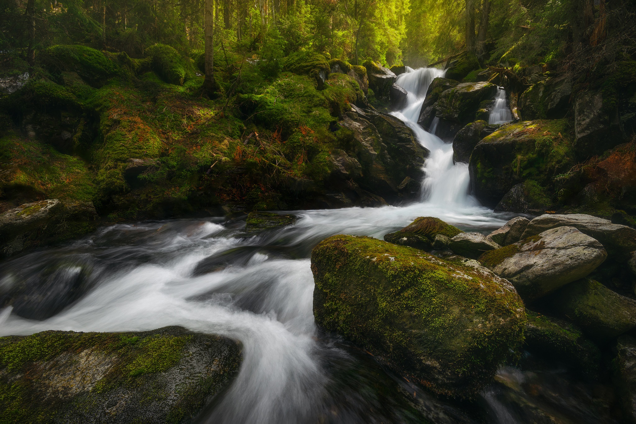 Mossy rocks and a waterfall in a forest HD Wallpaper