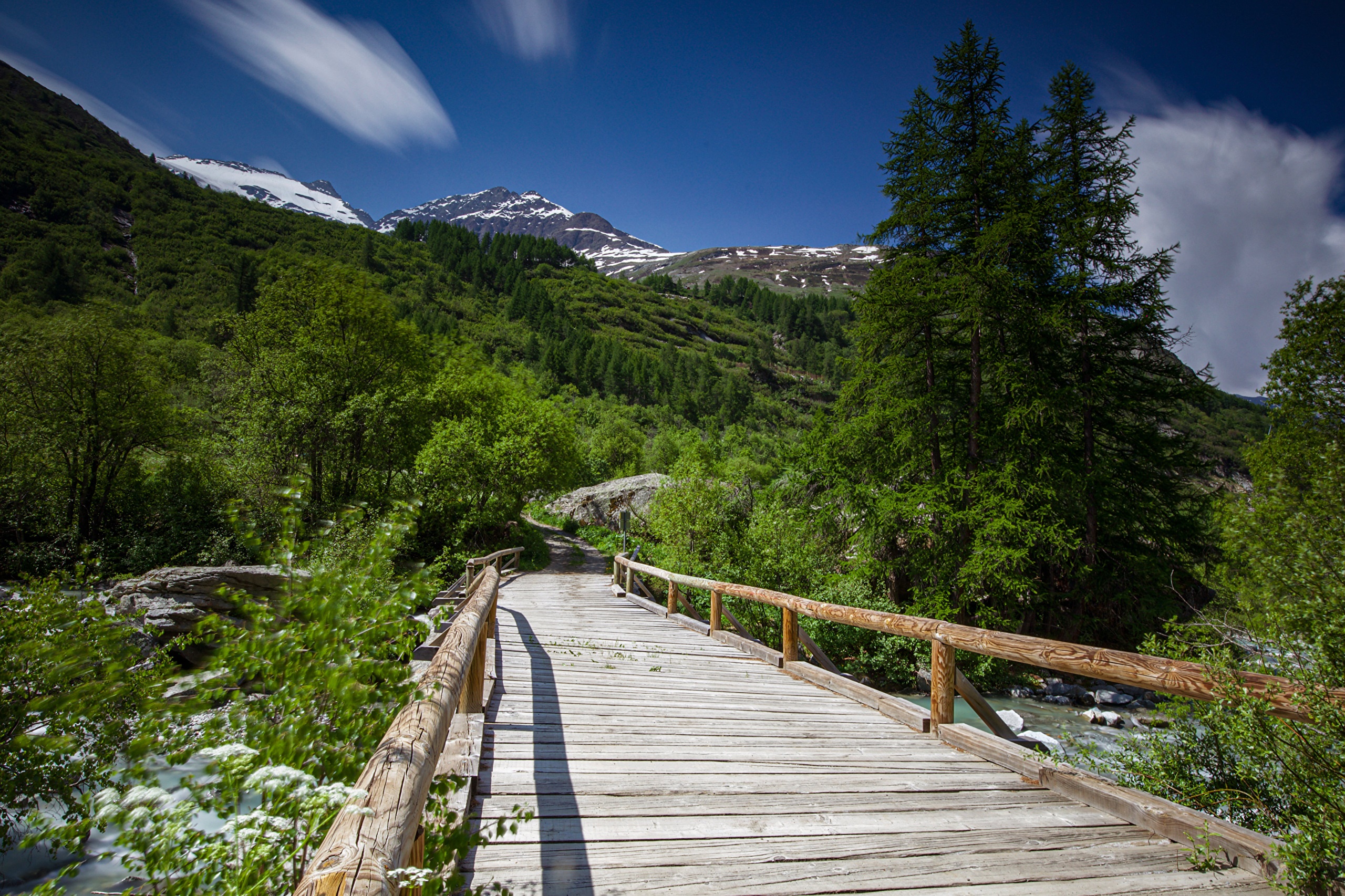 Wooden bridge over a river in a mountainous forest HD Wallpaper