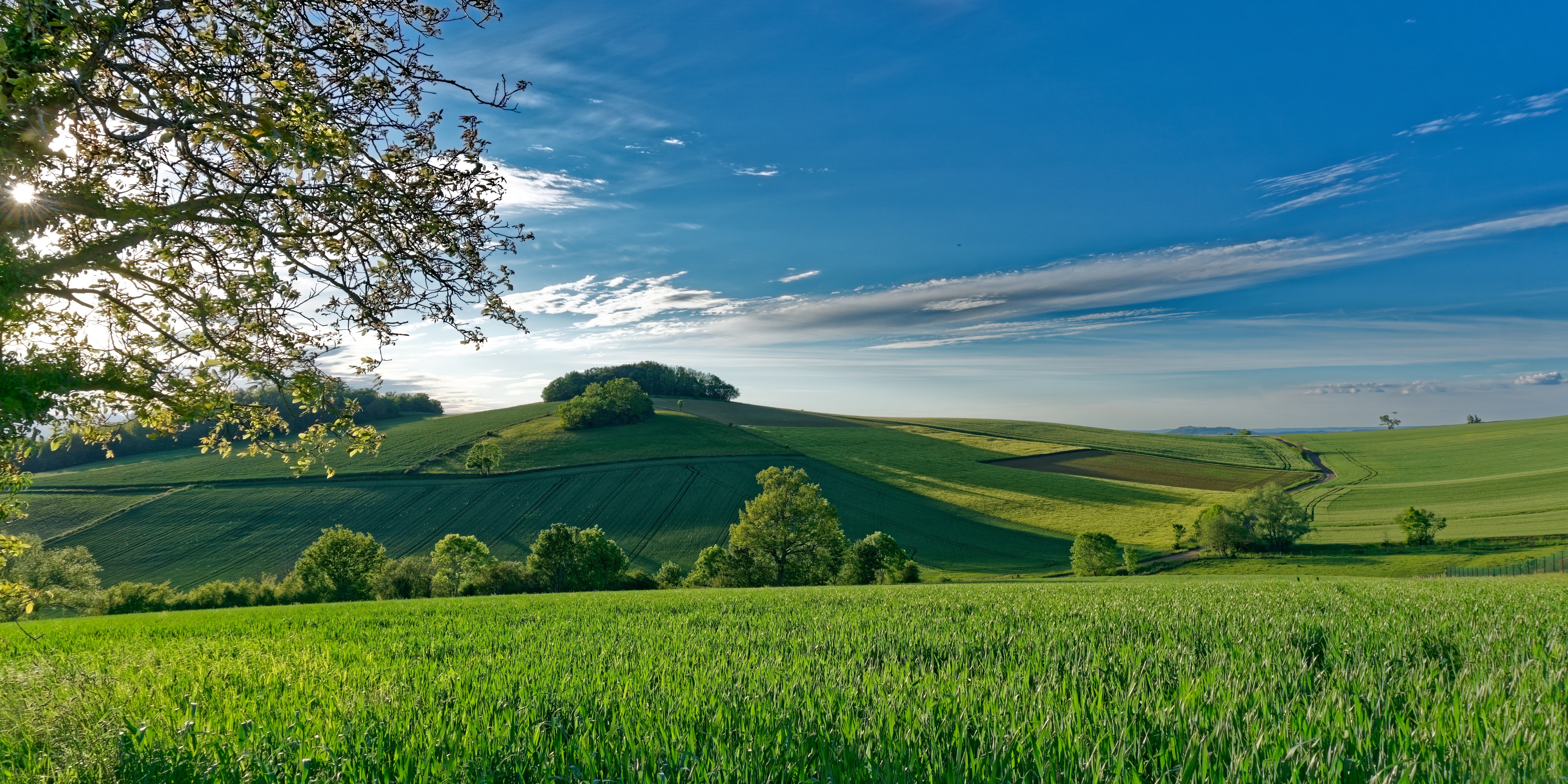 Green fields and rolling hills under a blue sky HD Wallpaper