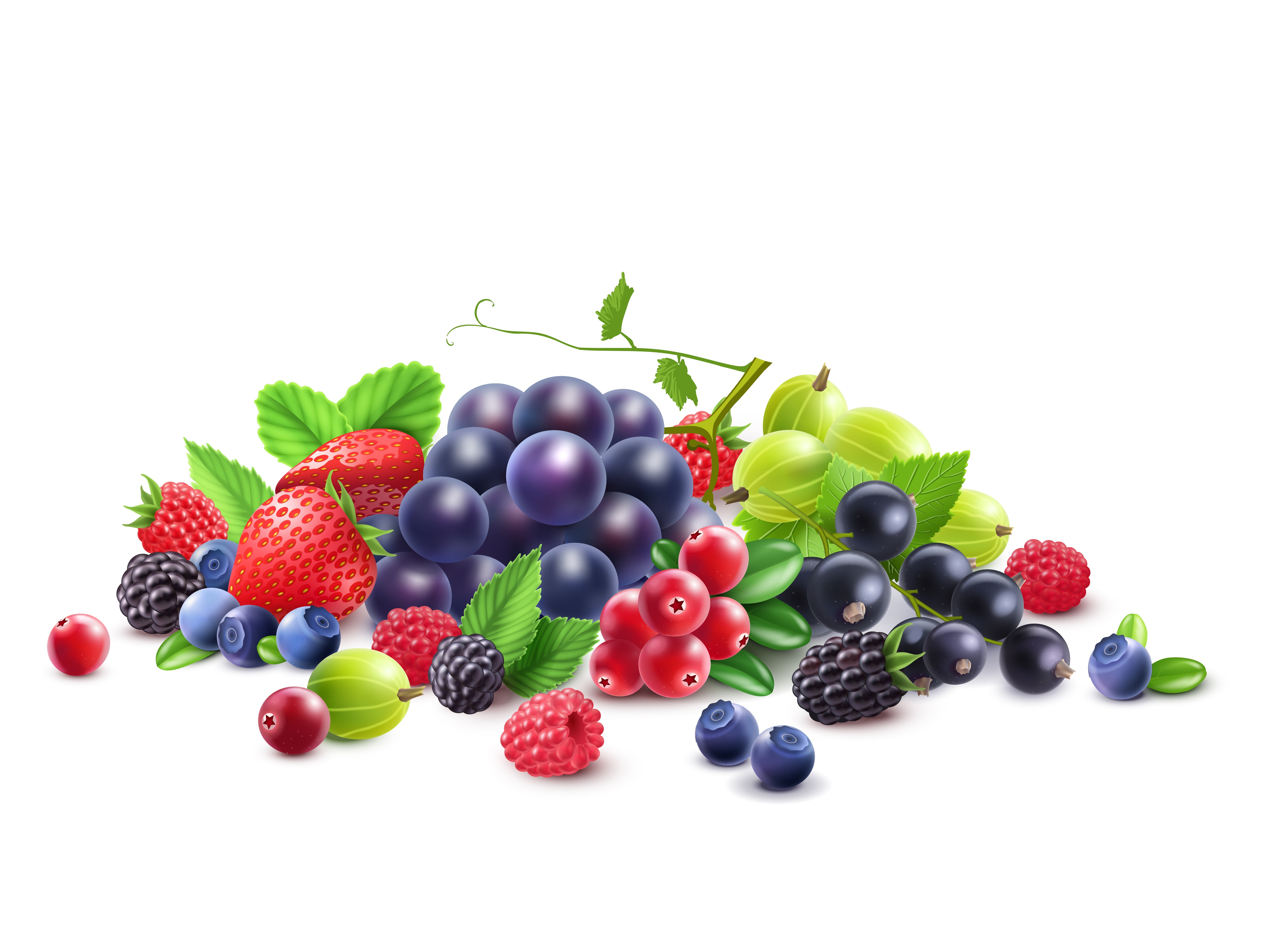Assortment of Fresh Berries and Grapes HD Wallpaper