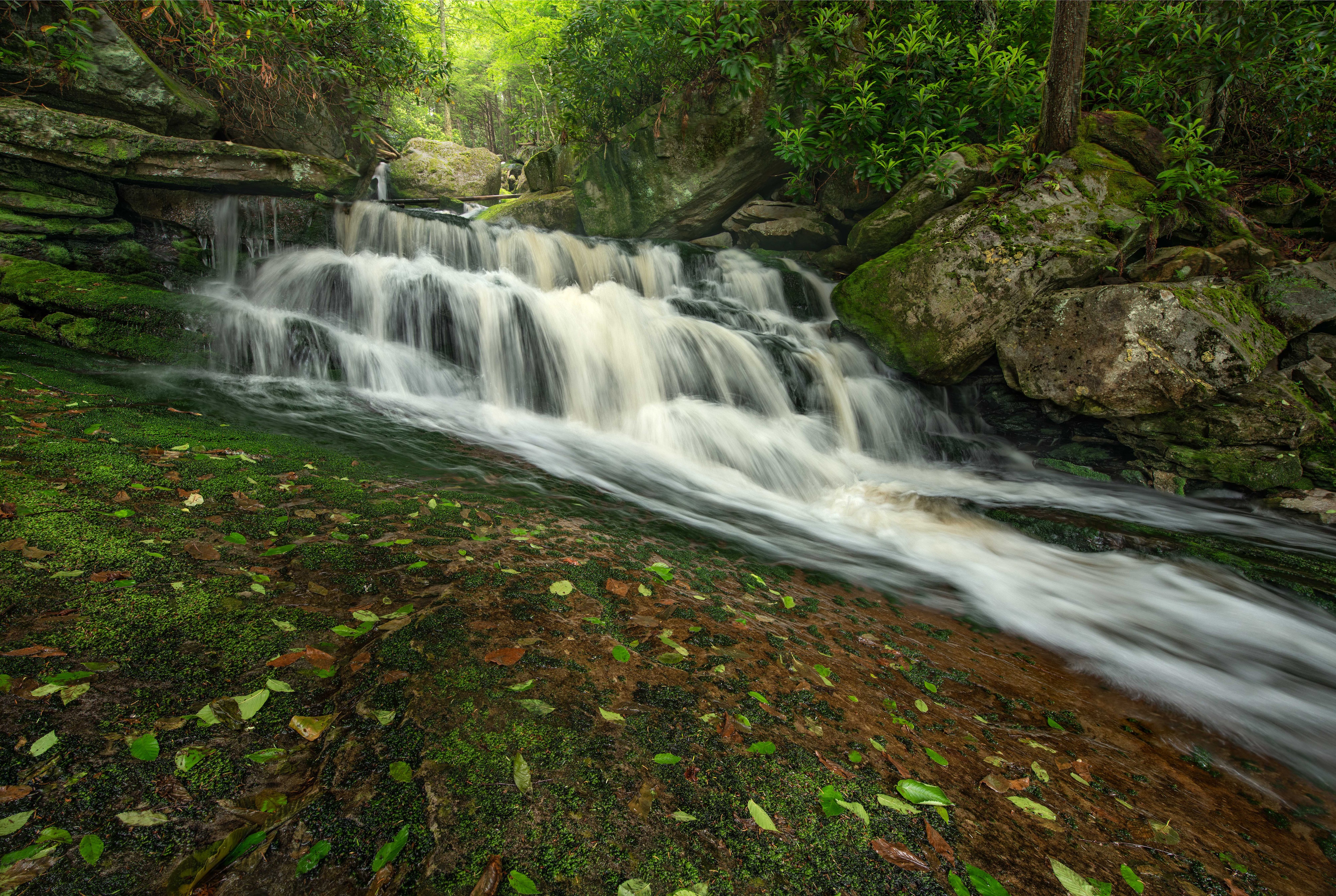Waterfall in Blackwater Falls State Park, Virginia, USA HD Wallpaper