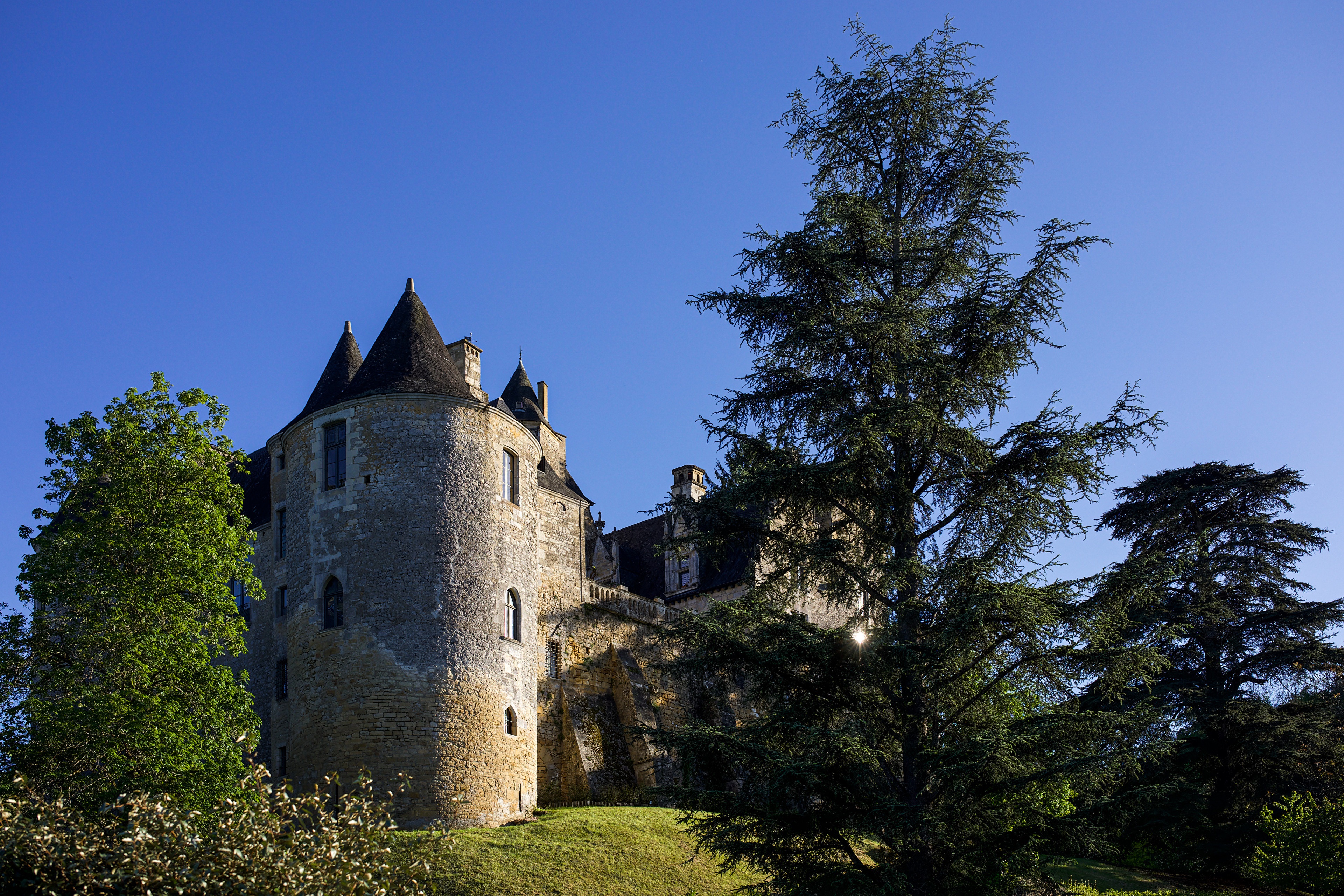 Chateau de Fayrac castle with trees and blue sky HD Wallpaper
