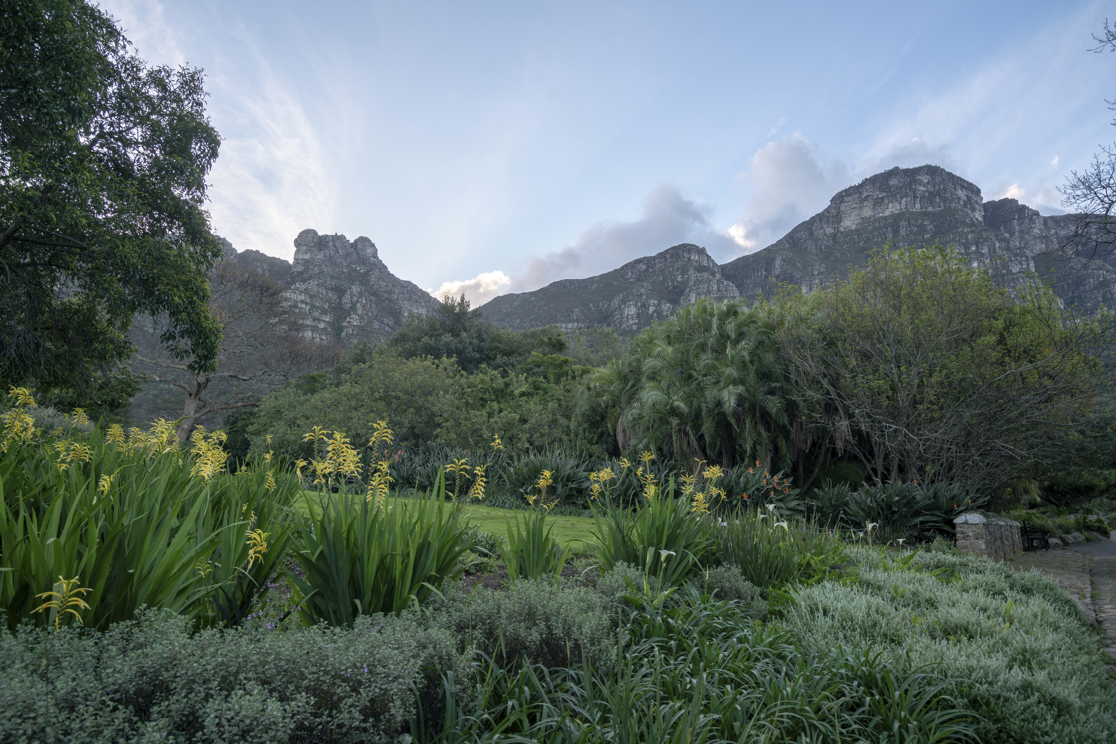 Mountain landscape with yellow flowers and lush greenery HD Wallpaper