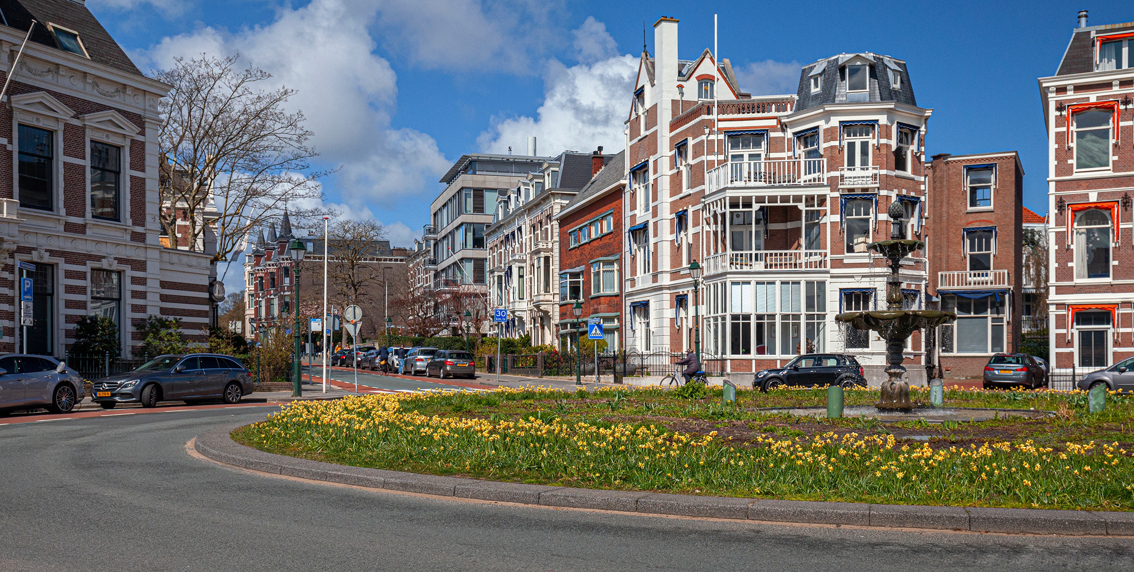 The Hague, Netherlands Street with Houses and Daffodils HD Wallpaper