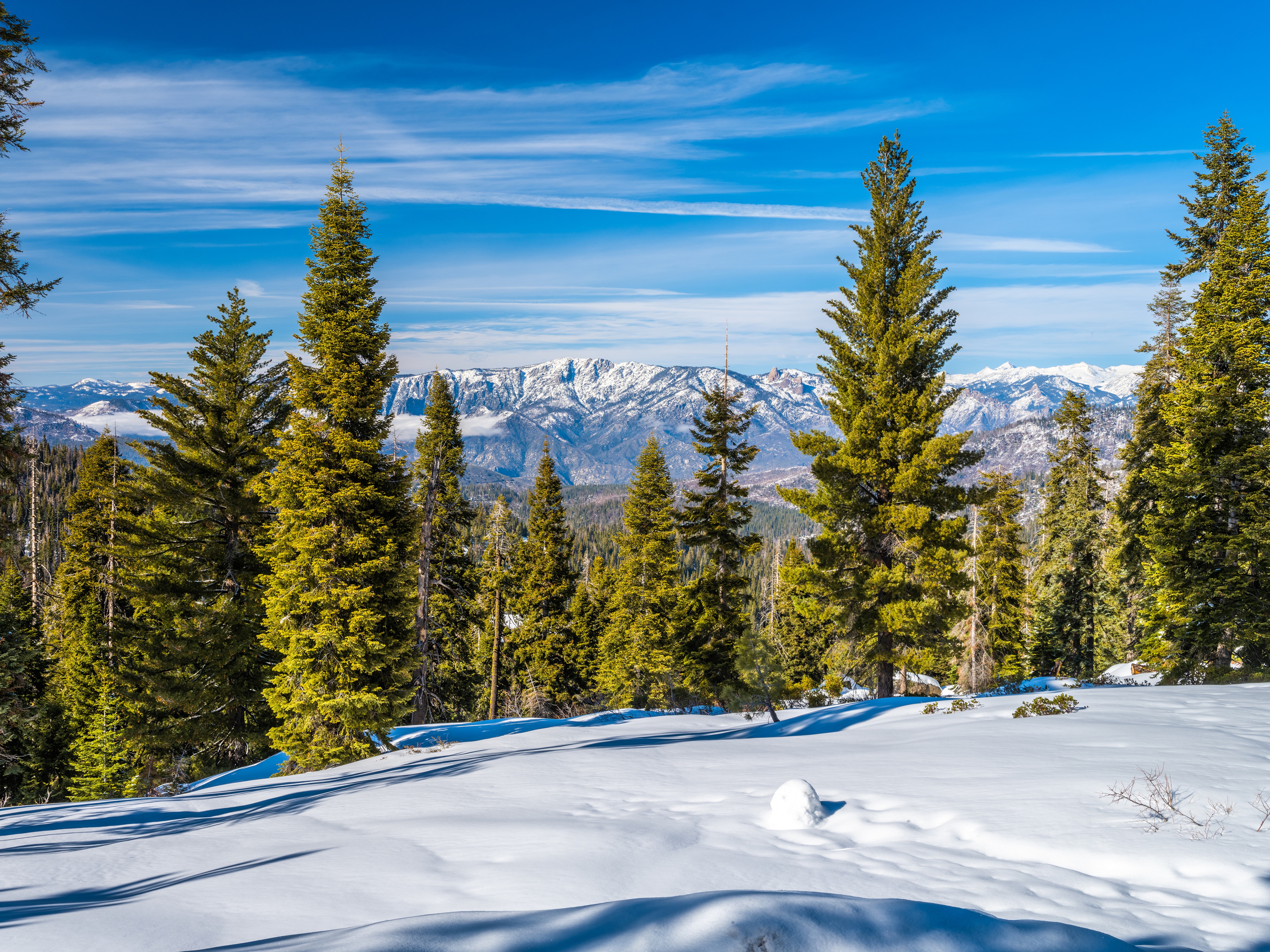 Snowy Kings Canyon National Park with Pine Trees and Mountains HD Wallpaper