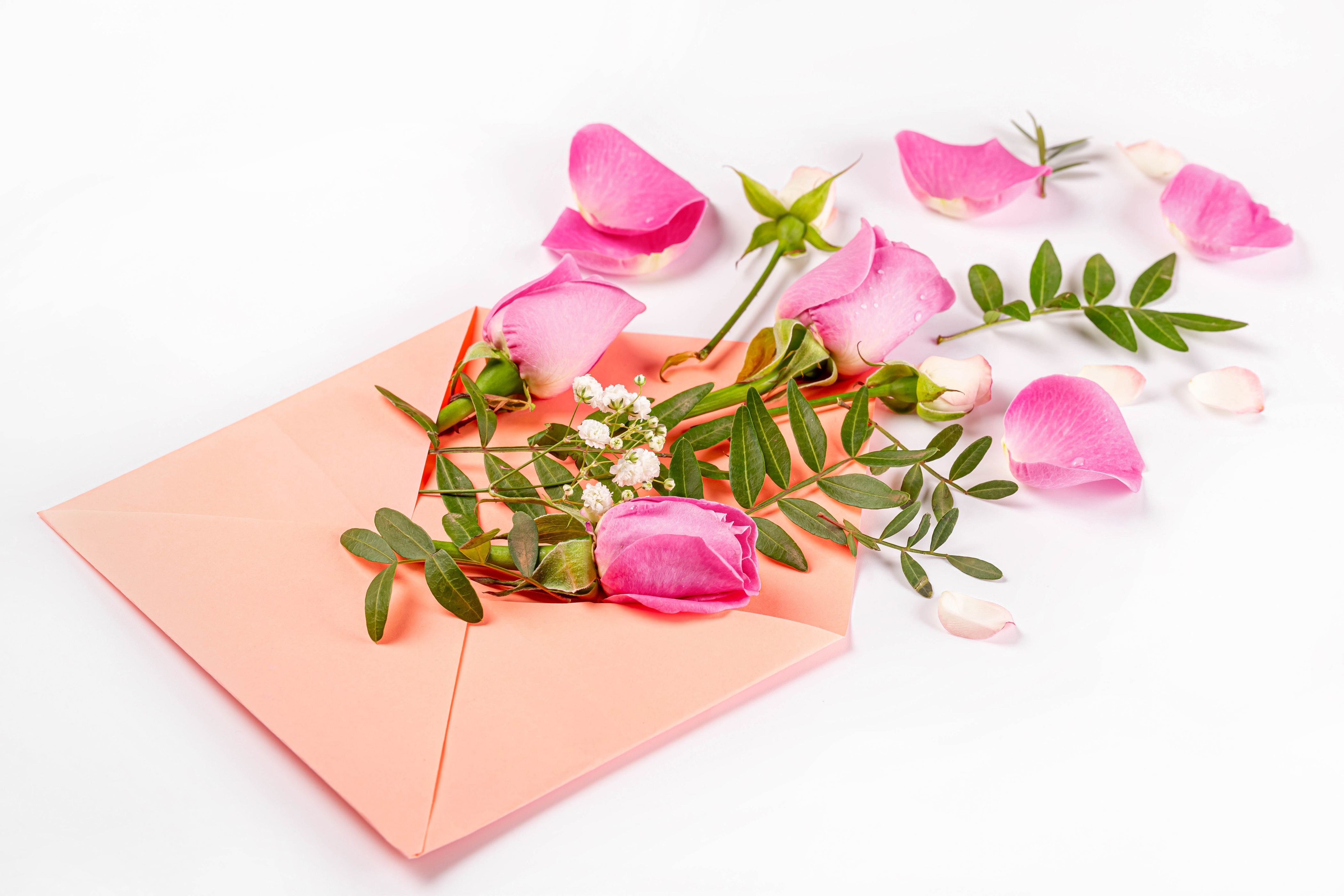 Pink Roses and Petals in Peach Envelope HD Wallpaper