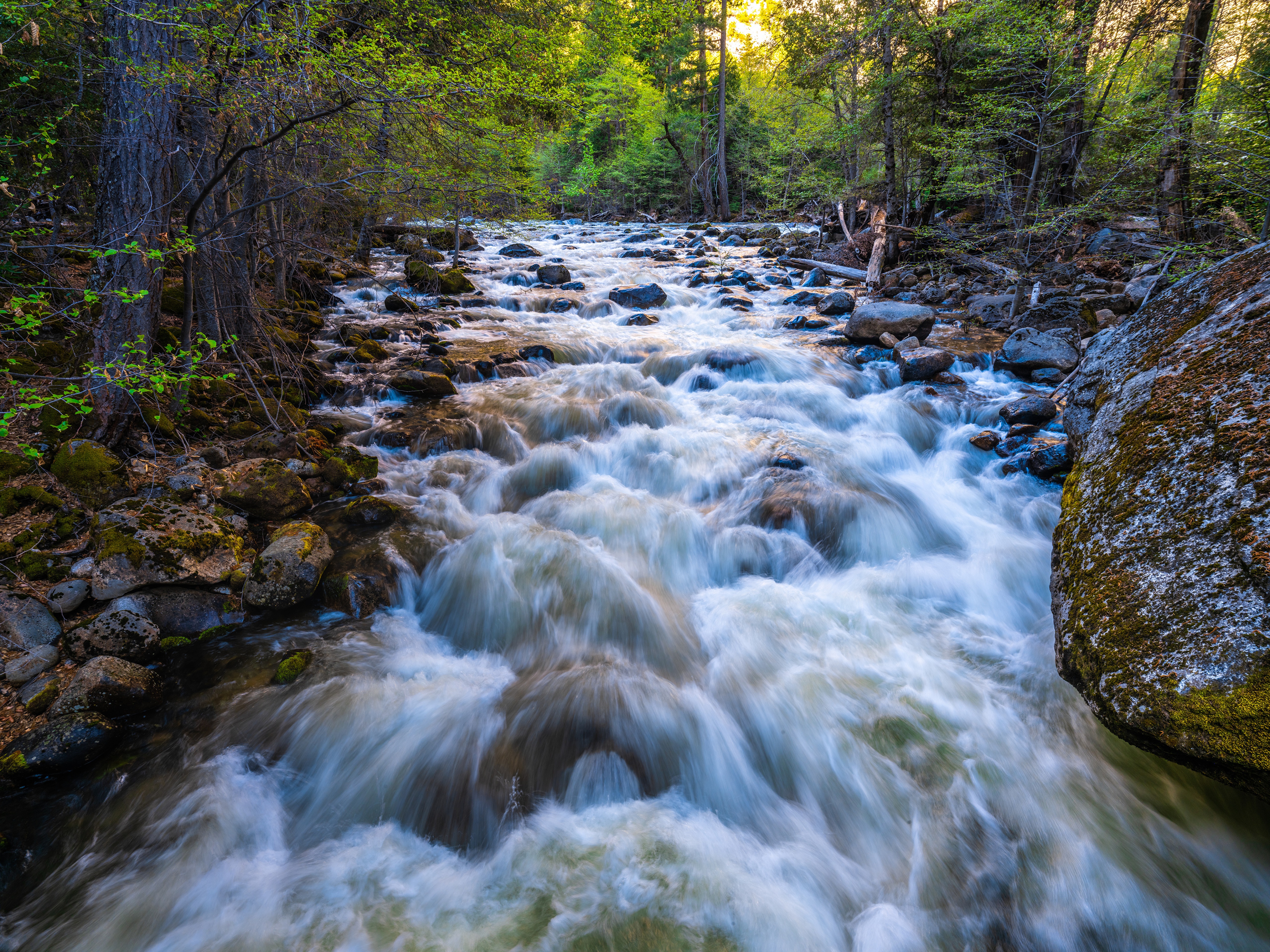 River flowing through Yosemite National Park, California HD Wallpaper