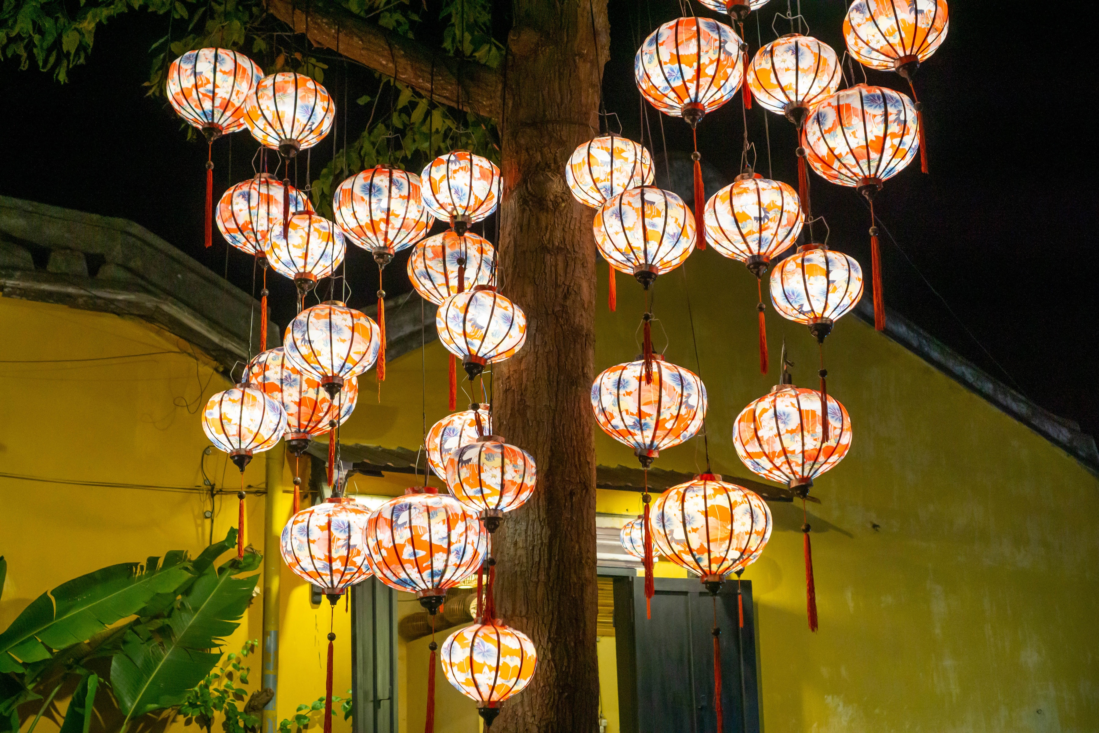 Hoi An, Vietnam lanterns hanging from a tree HD Wallpaper
