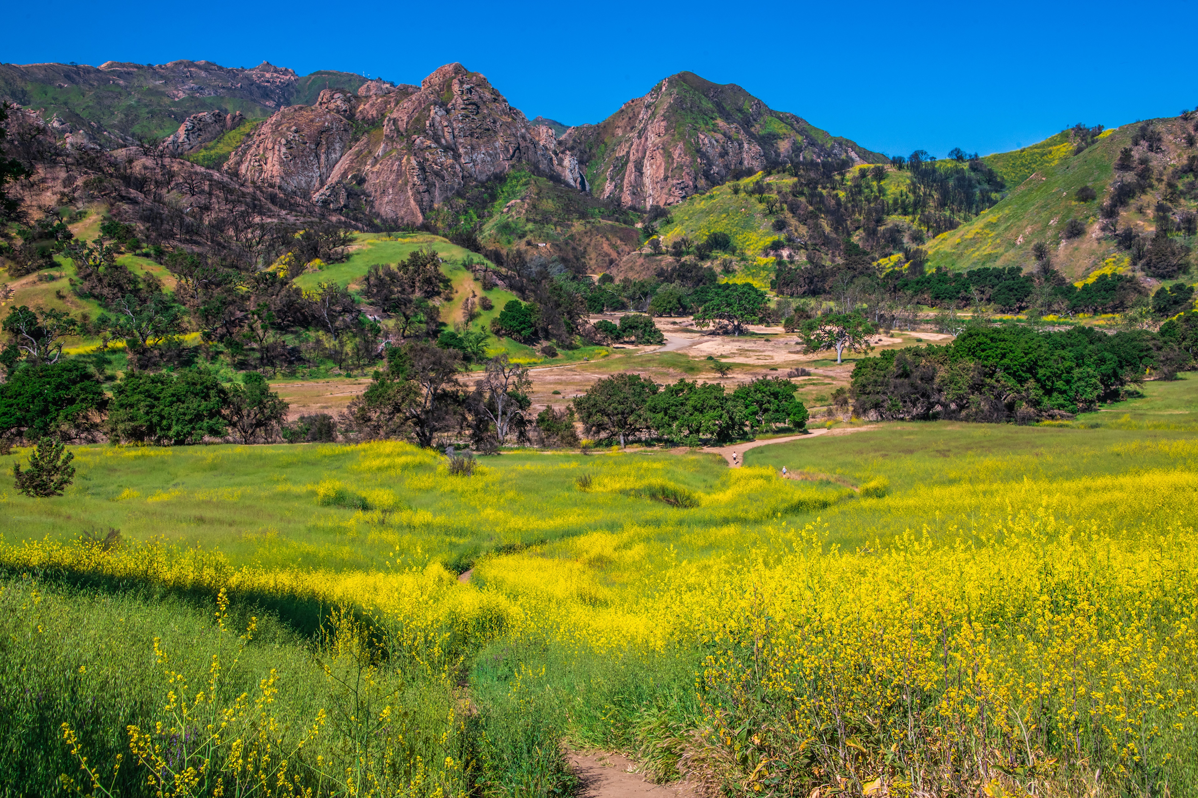Malibu Creek State Park, California HD Wallpaper