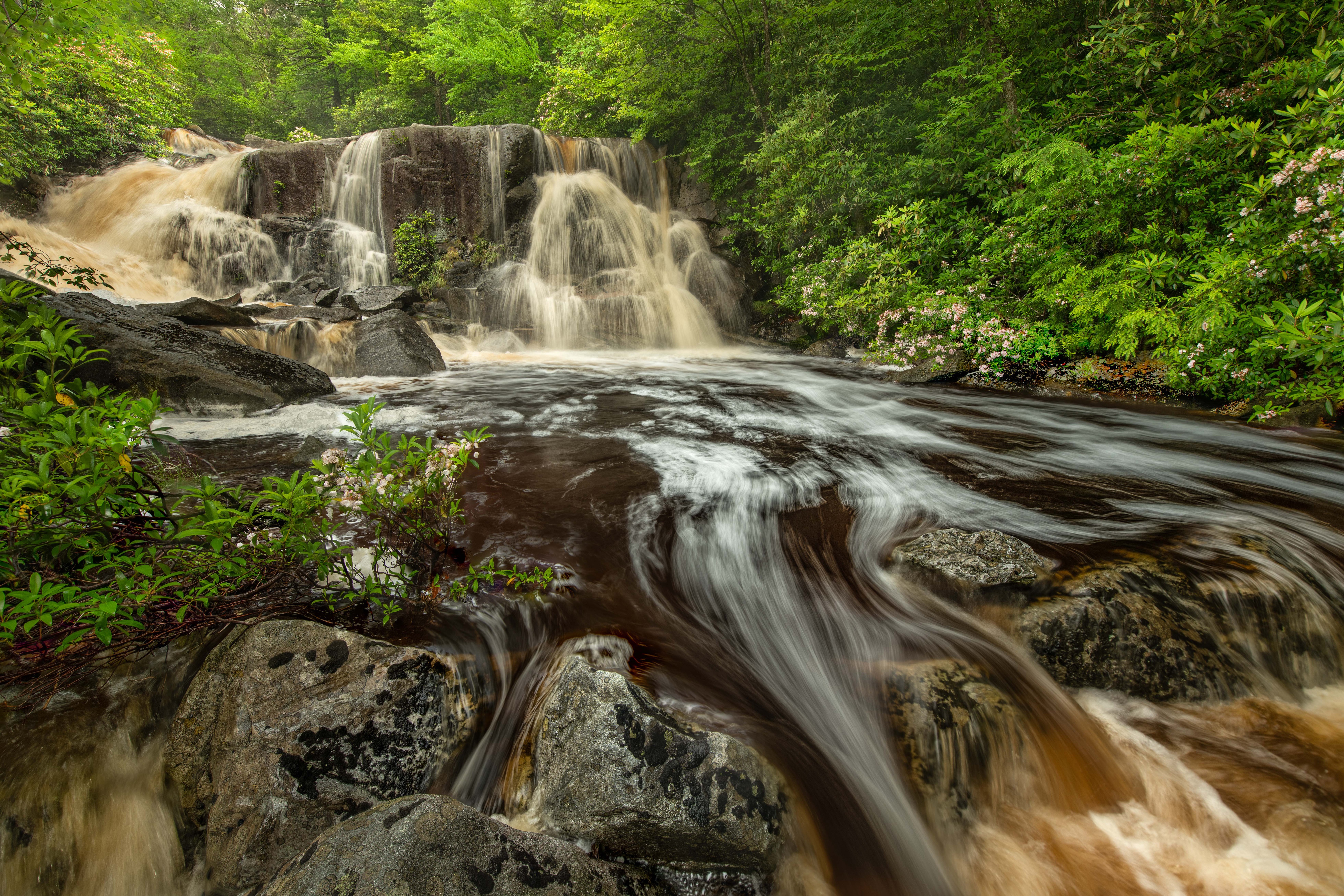 Blackwater Falls State Park Virginia USA Waterfalls HD Wallpaper