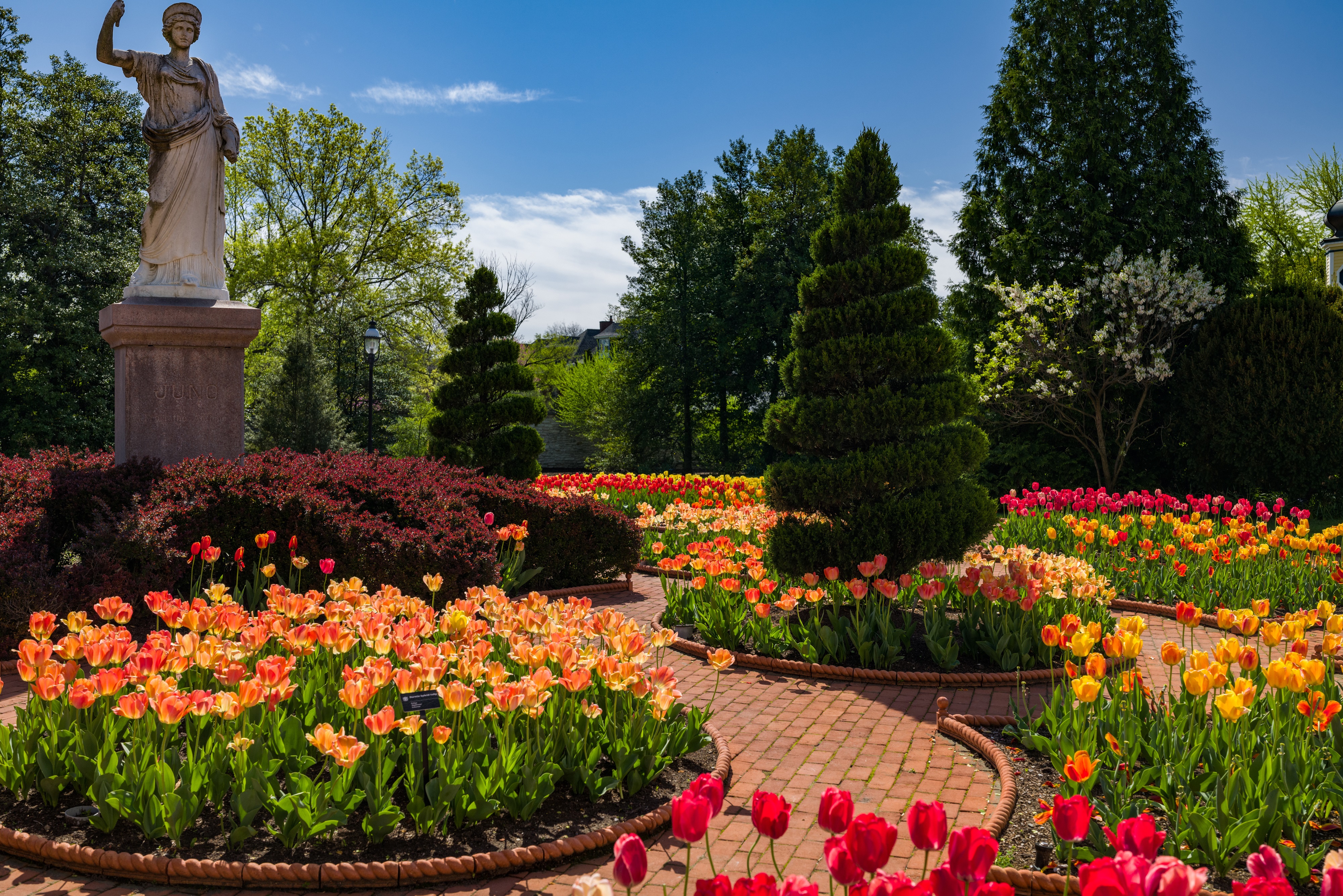 Victorian Garden with Tulips and Statue HD Wallpaper