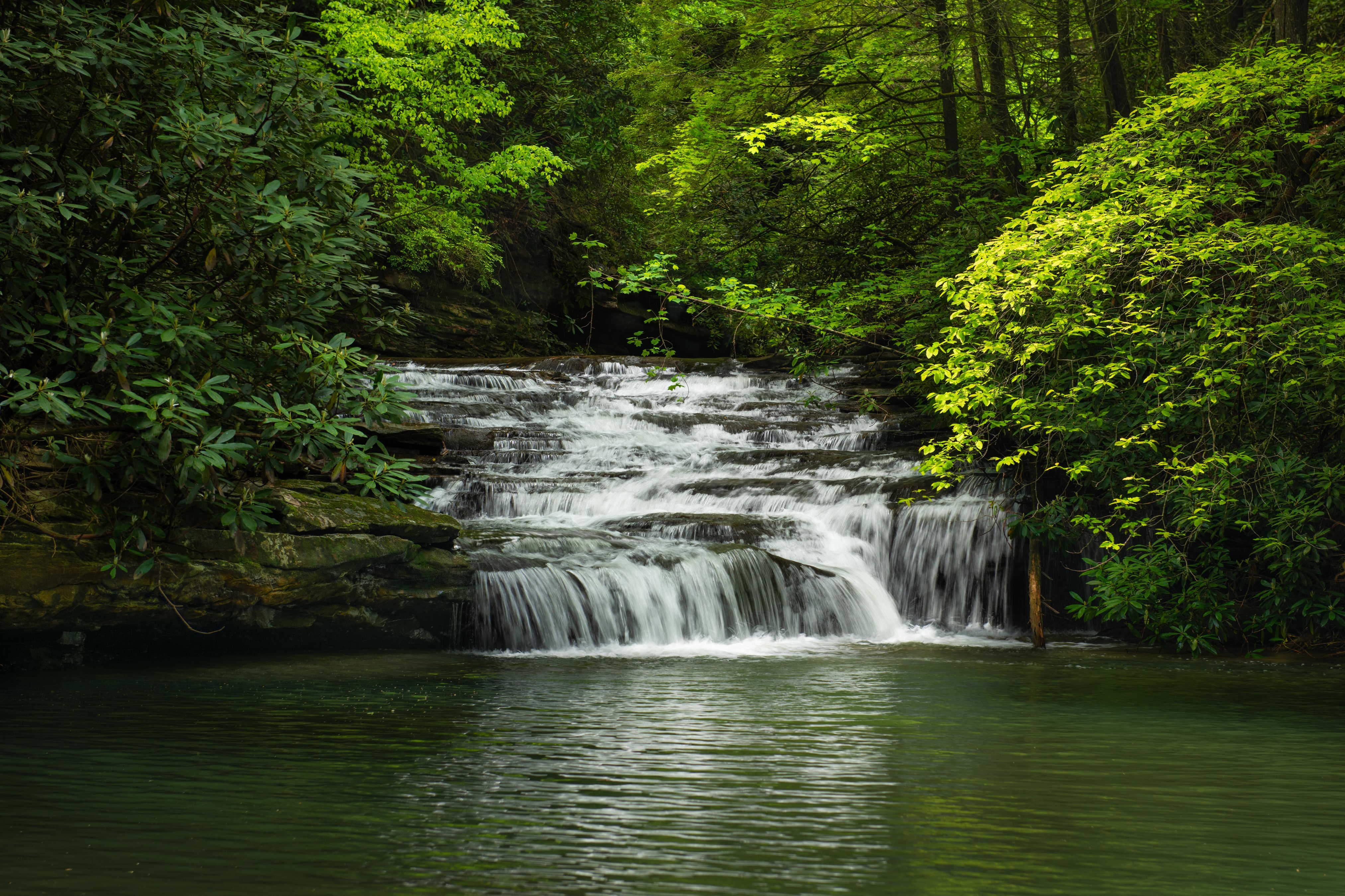 Waterfall in Blackwater Falls State Park, USA HD Wallpaper