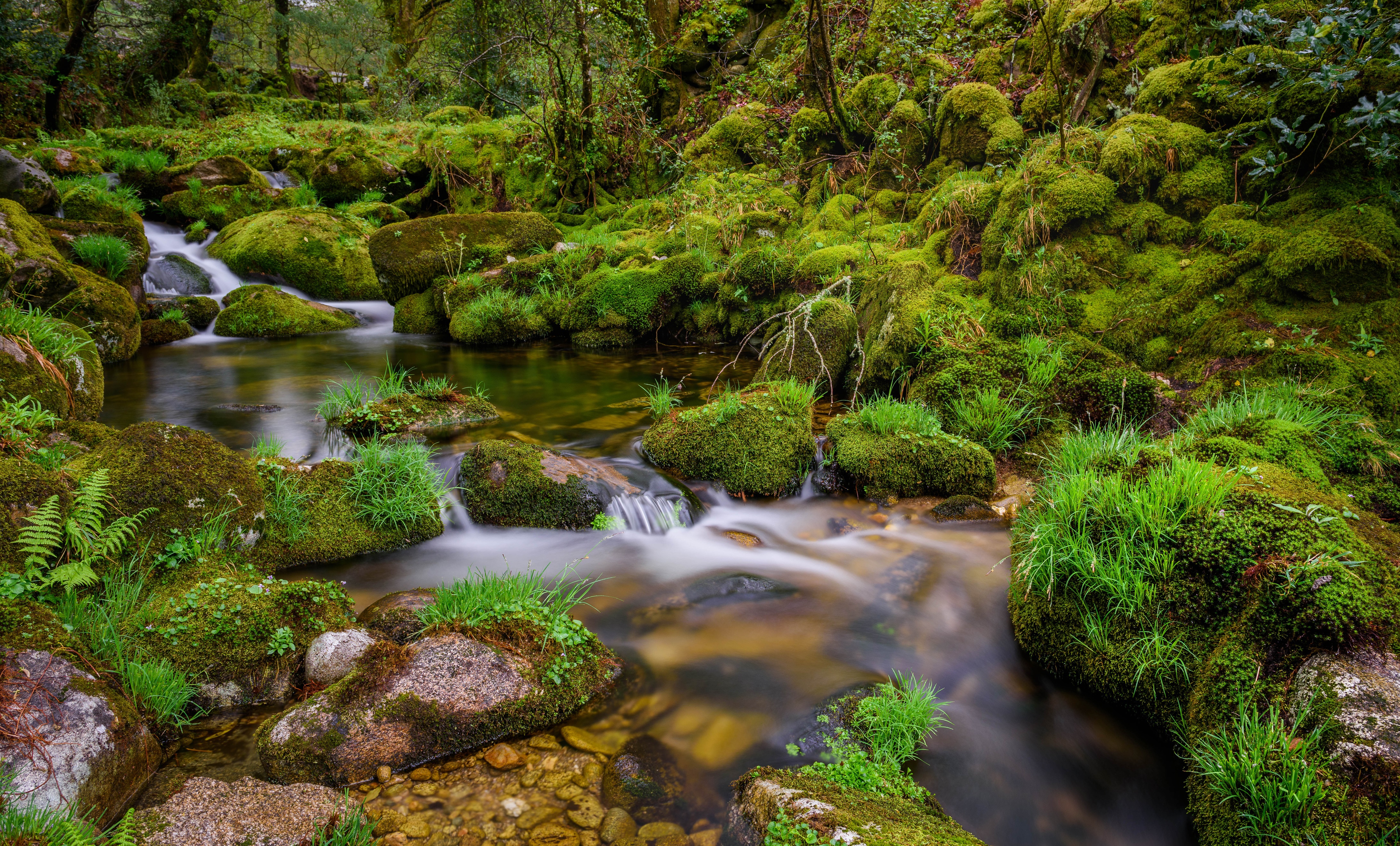 4K Galicia Spain Mossy Stream Stones HD Wallpaper