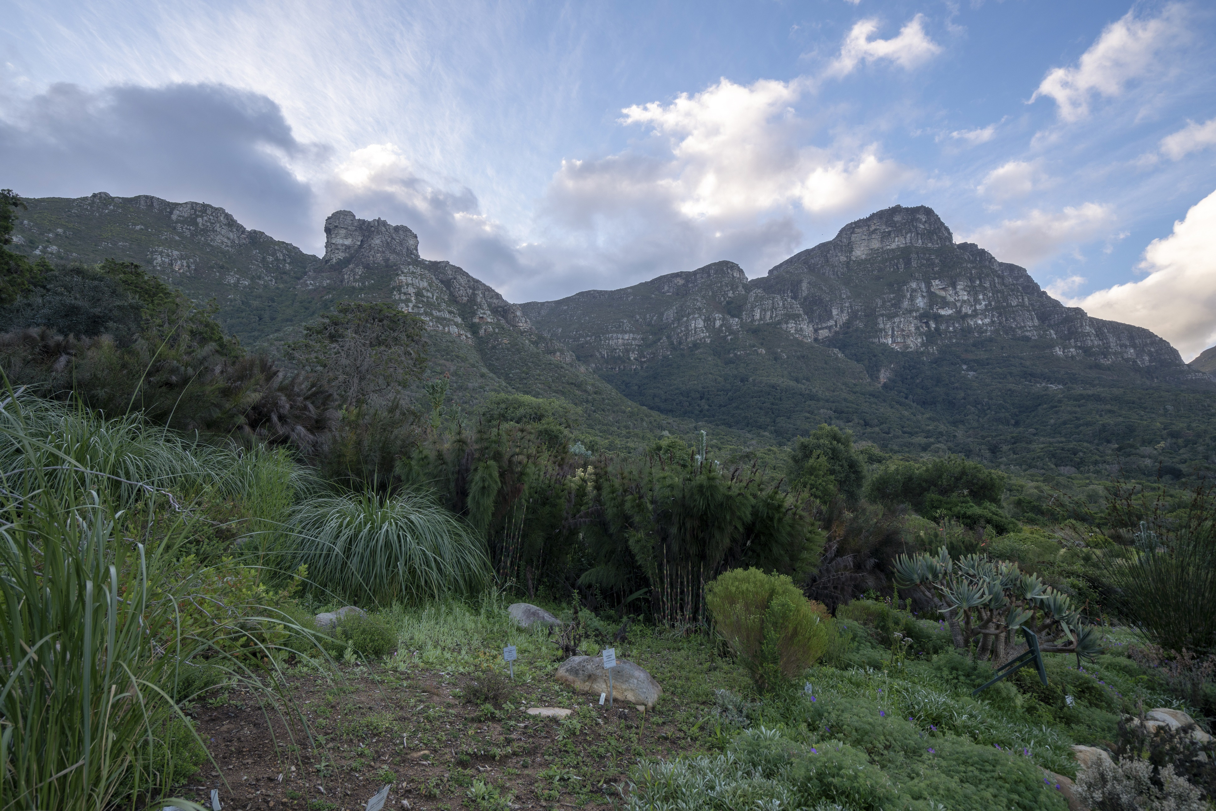 Mountains and garden with plants HD Wallpaper