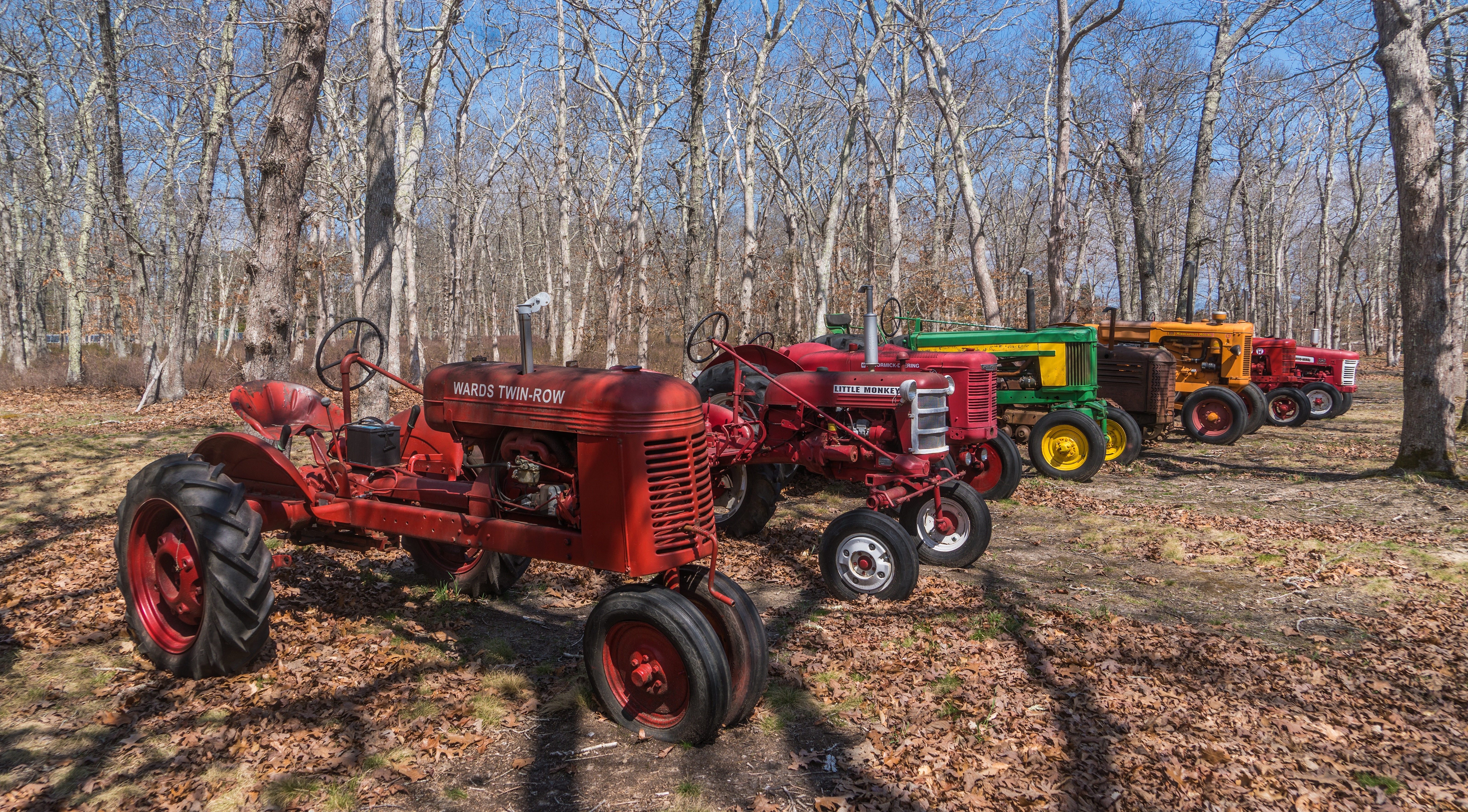Row of vintage tractors in a forest HD Wallpaper