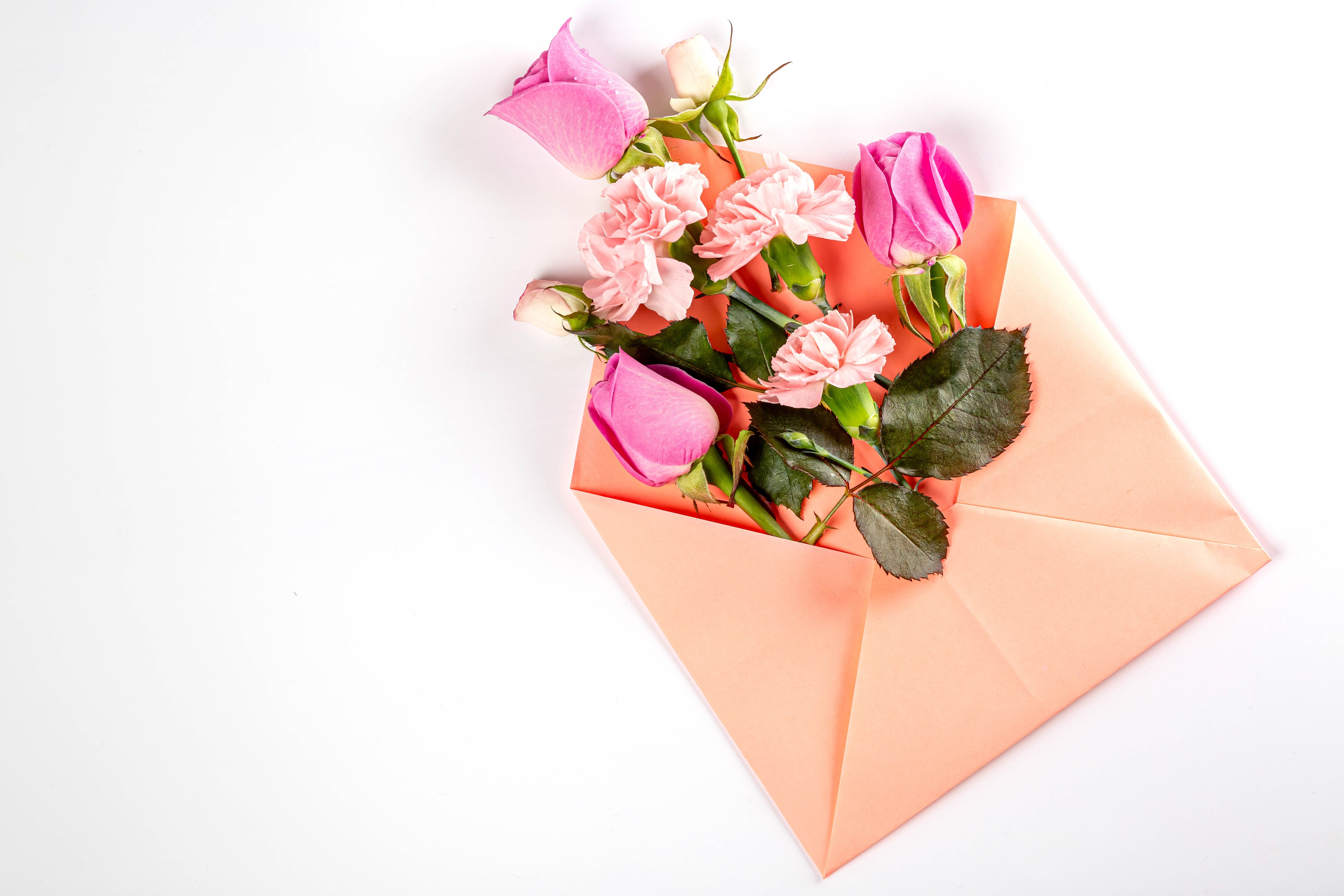 Pink Roses and Carnations in an Envelope HD Wallpaper