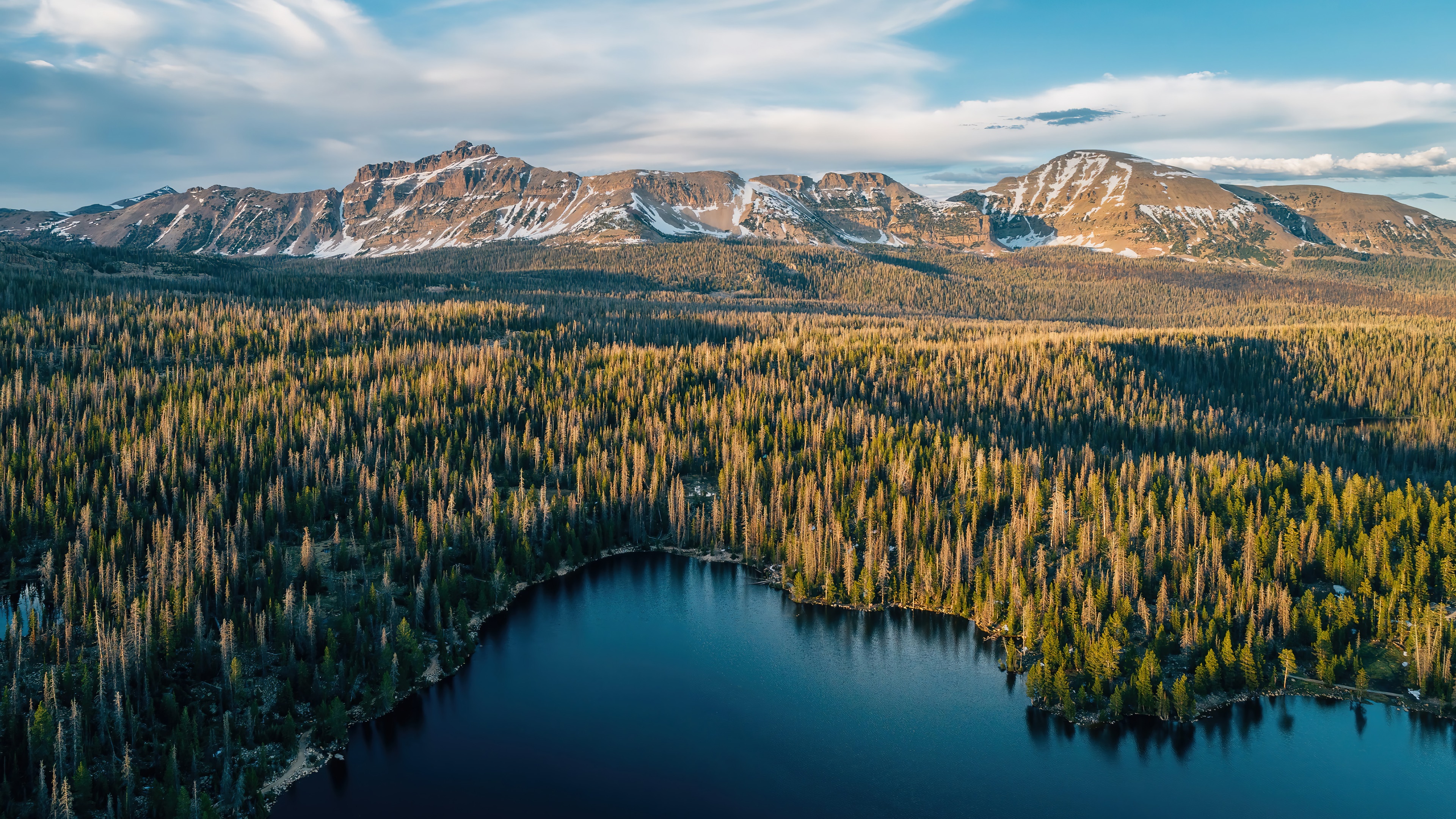 Aerial view of a forest and mountains with a lake HD Wallpaper