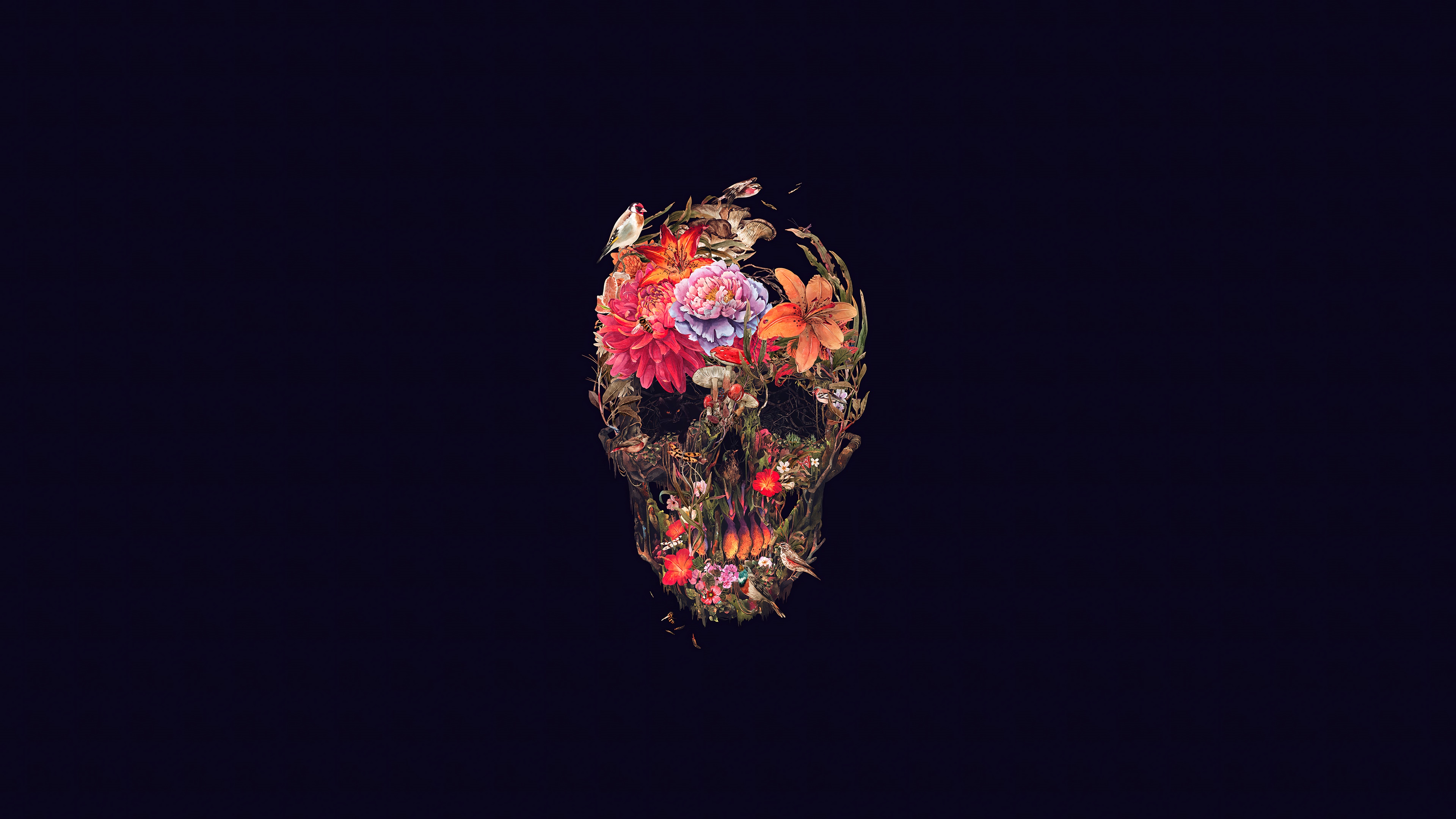 Skull with flowers and birds on dark background 4K HD Wallpaper