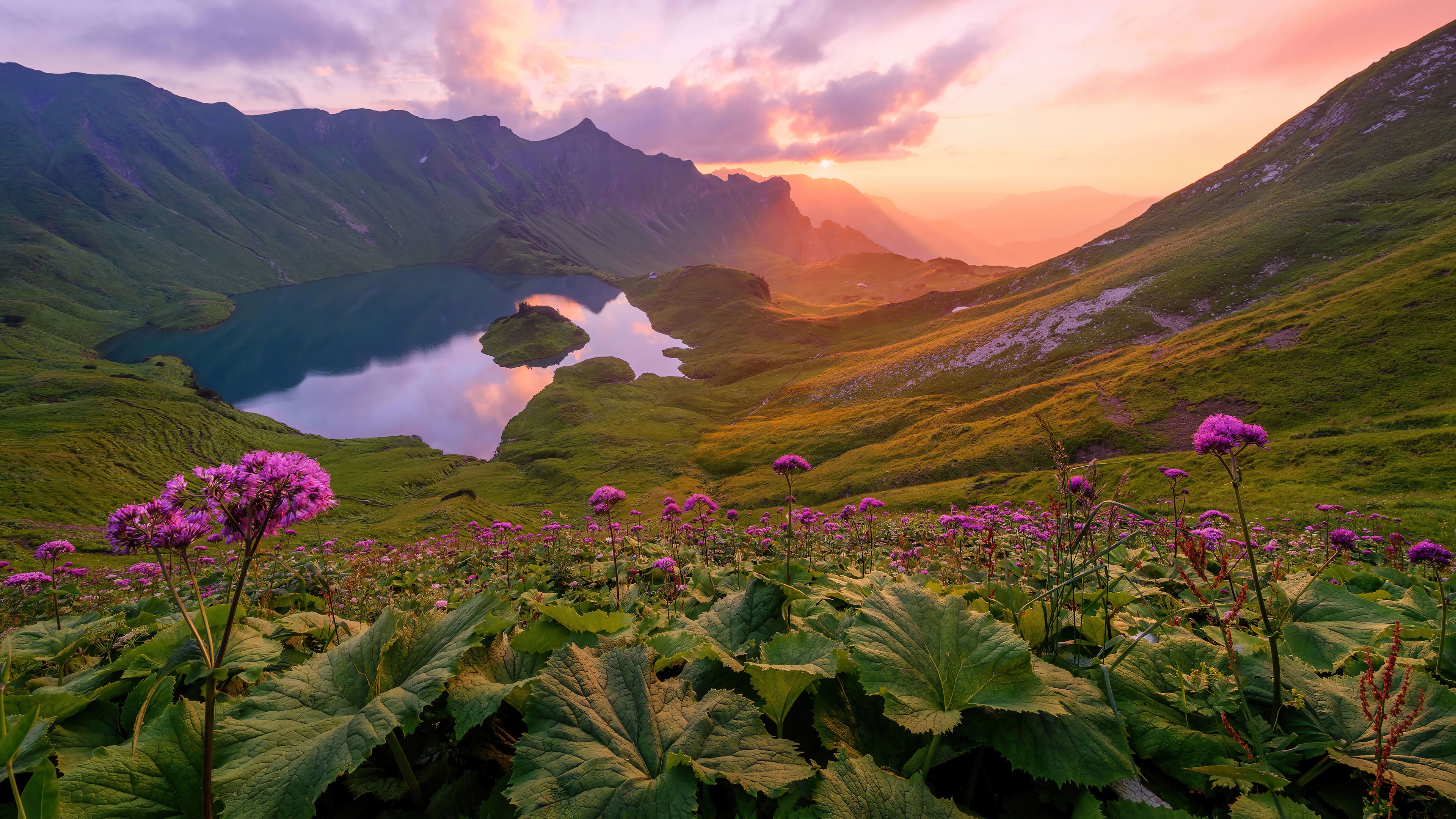 Mountain lake at sunset with purple flowers HD Wallpaper