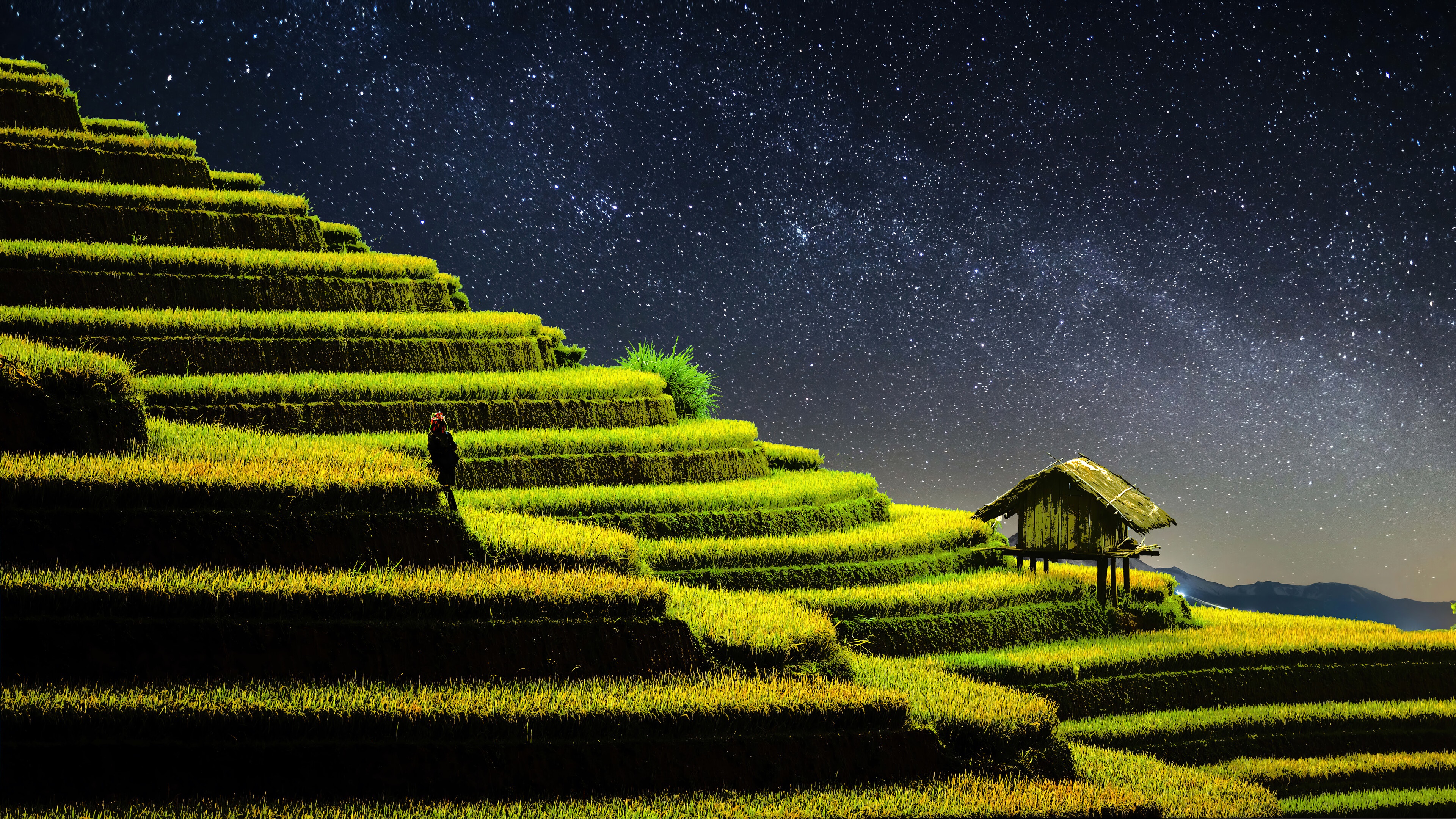 Rice terraces under a starry night sky HD Wallpaper