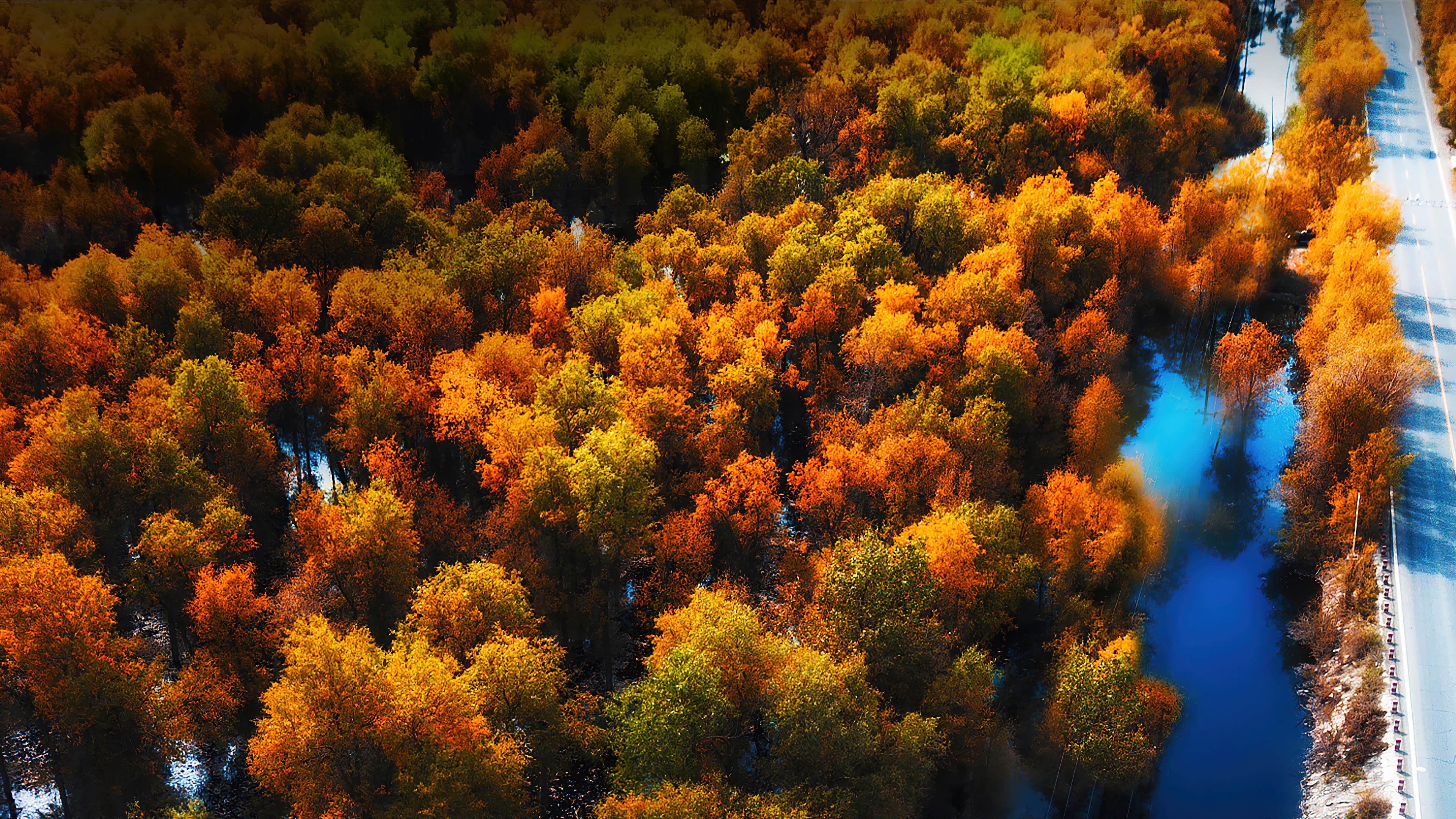 Aerial view of autumn forest and road 4K HD Wallpaper