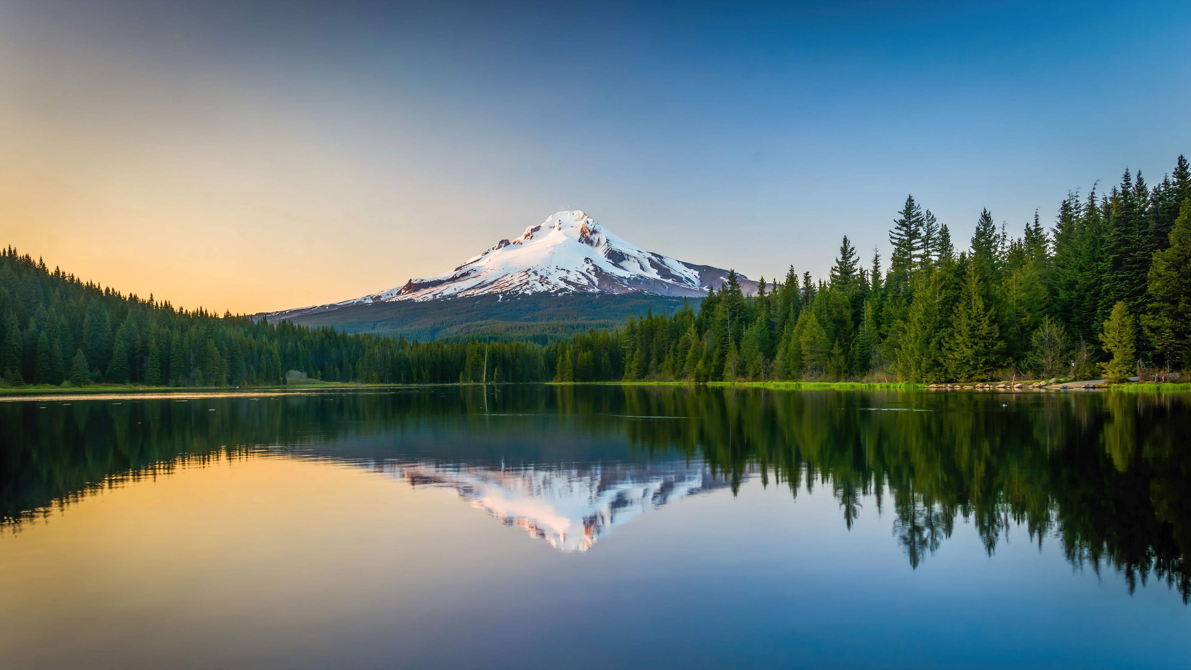 Lake reflection of snow-capped mountain and forest HD Wallpaper