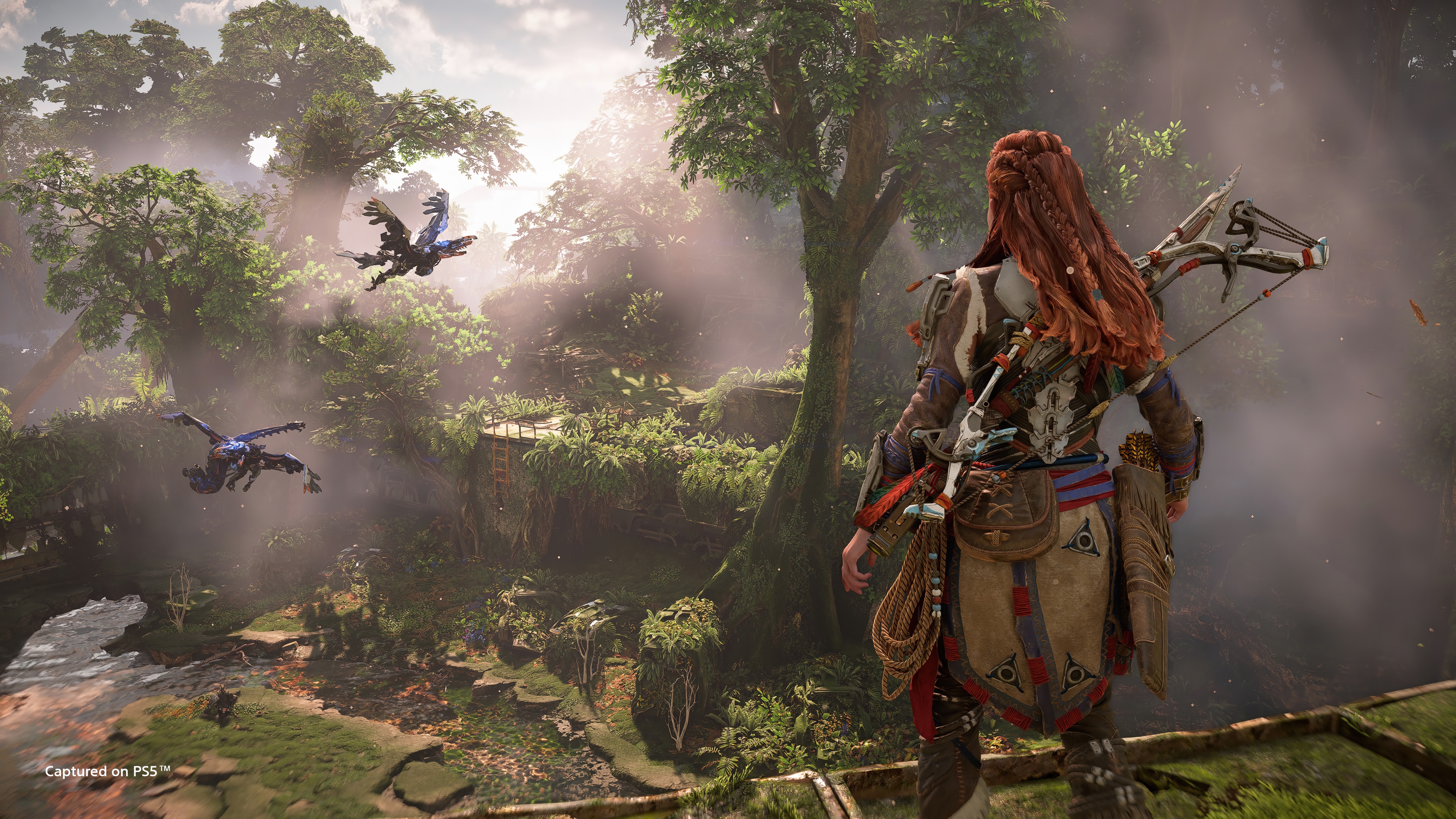 Aloy from Horizon Forbidden West on PS5 HD Wallpaper
