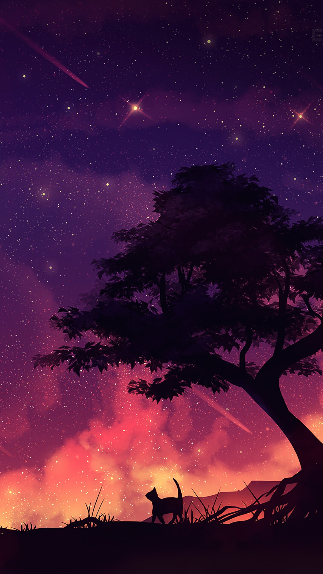 Cat under a tree with shooting stars HD Phone Wallpaper