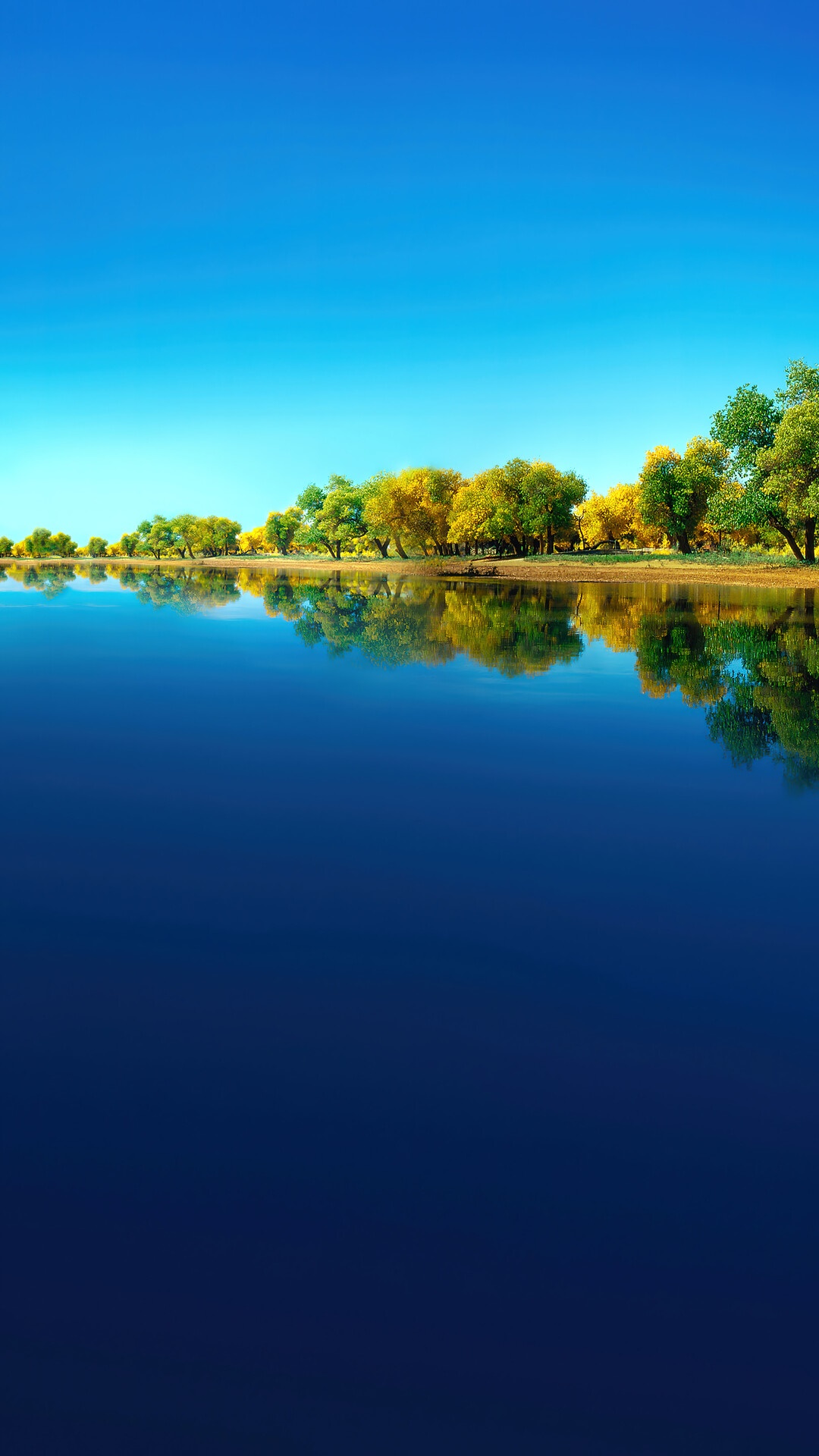 Trees reflected in a blue lake under a clear sky HD Phone Wallpaper