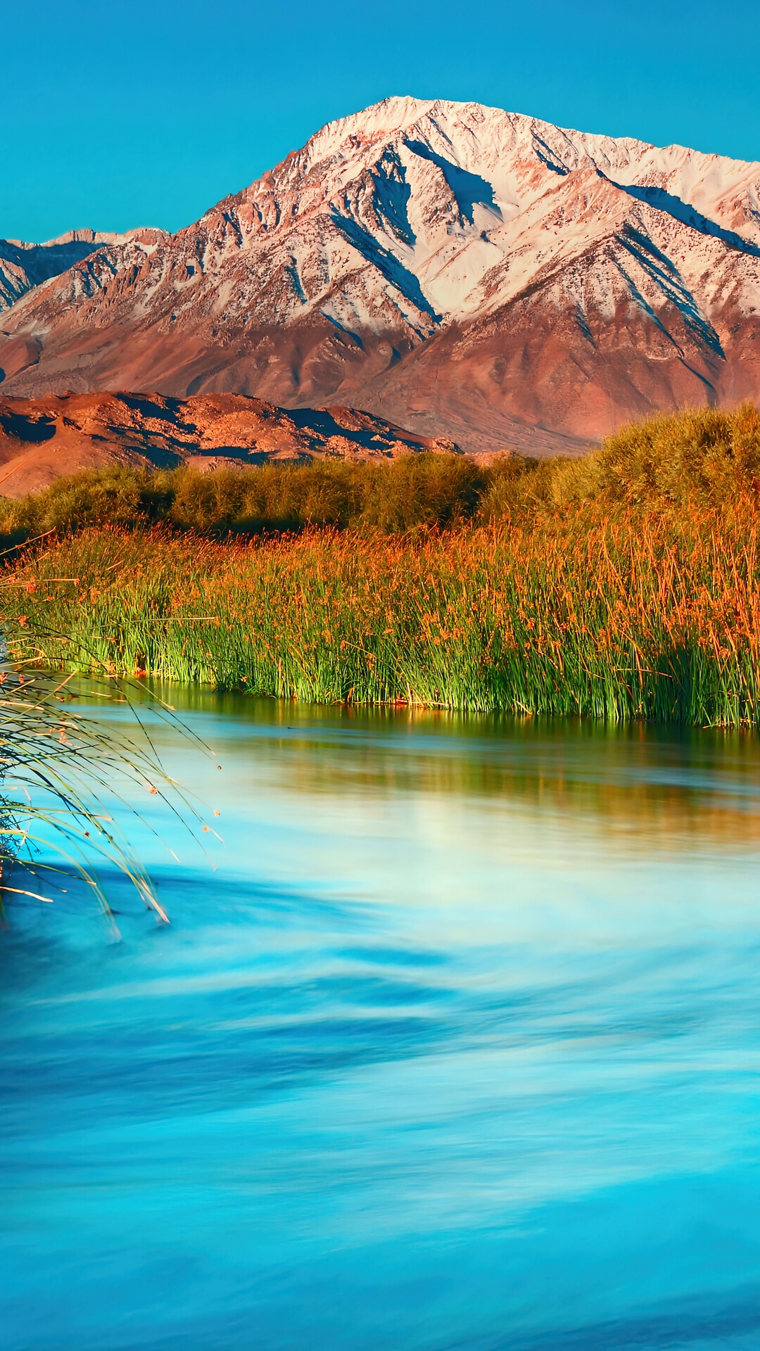 River flowing through reeds with snow-capped mountains in the background HD Phone Wallpaper