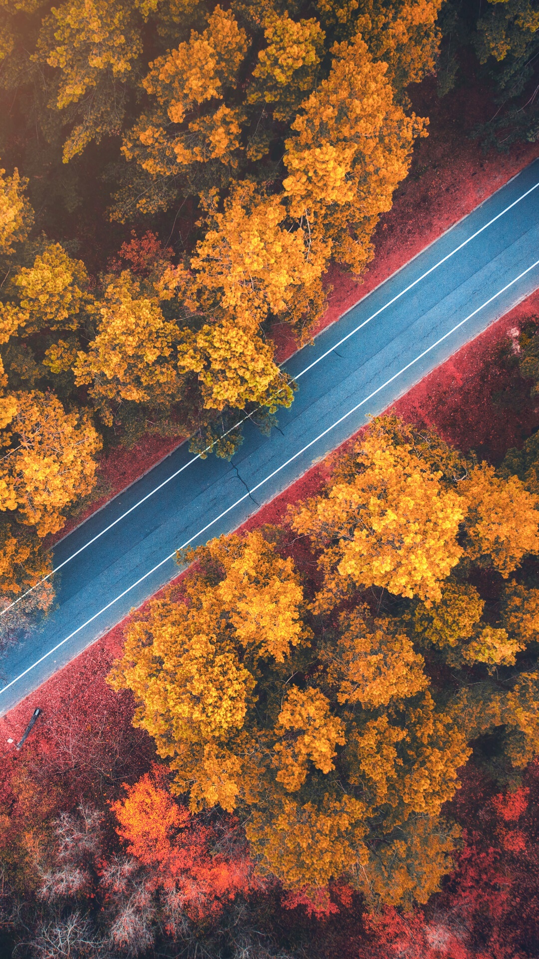 Aerial view of a road through an autumn forest HD Phone Wallpaper