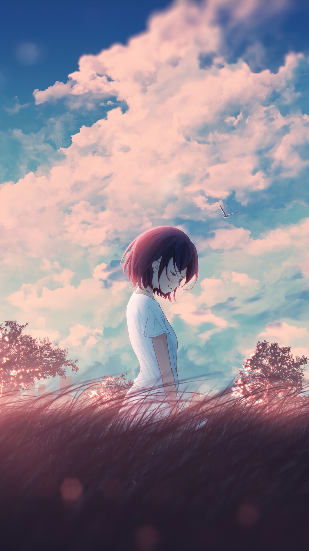 Anime girl in a field at sunrise HD Phone Wallpaper