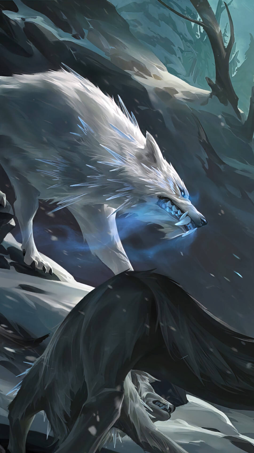 Two wolves, one white and one black, in a snowy forest HD Phone Wallpaper
