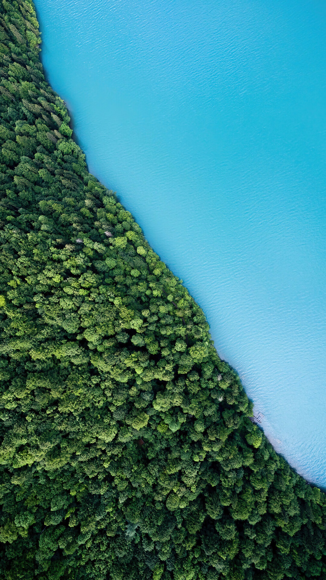 Aerial view of a forest meeting a bright blue lake HD Phone Wallpaper