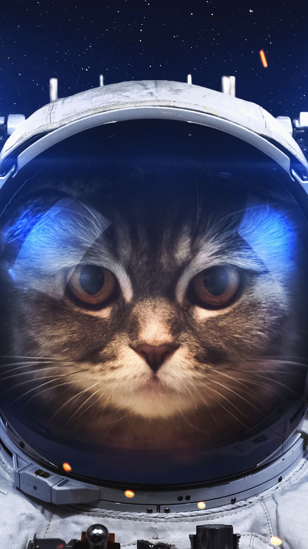 Cat astronaut in space HD Phone Wallpaper