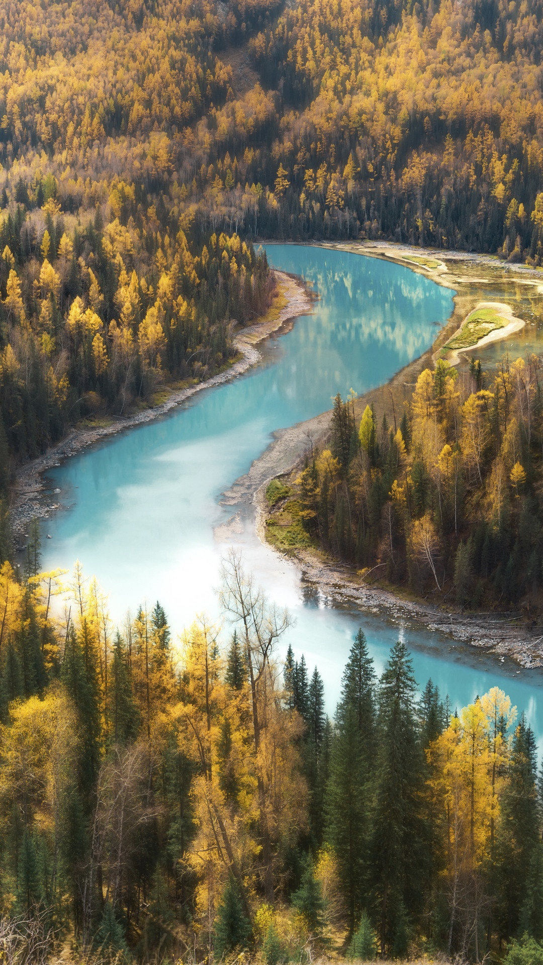 Turquoise river winding through autumn forest HD Phone Wallpaper