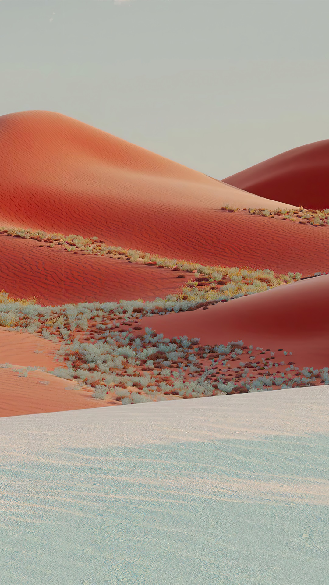 Desert landscape with sand dunes and sparse vegetation HD Phone Wallpaper