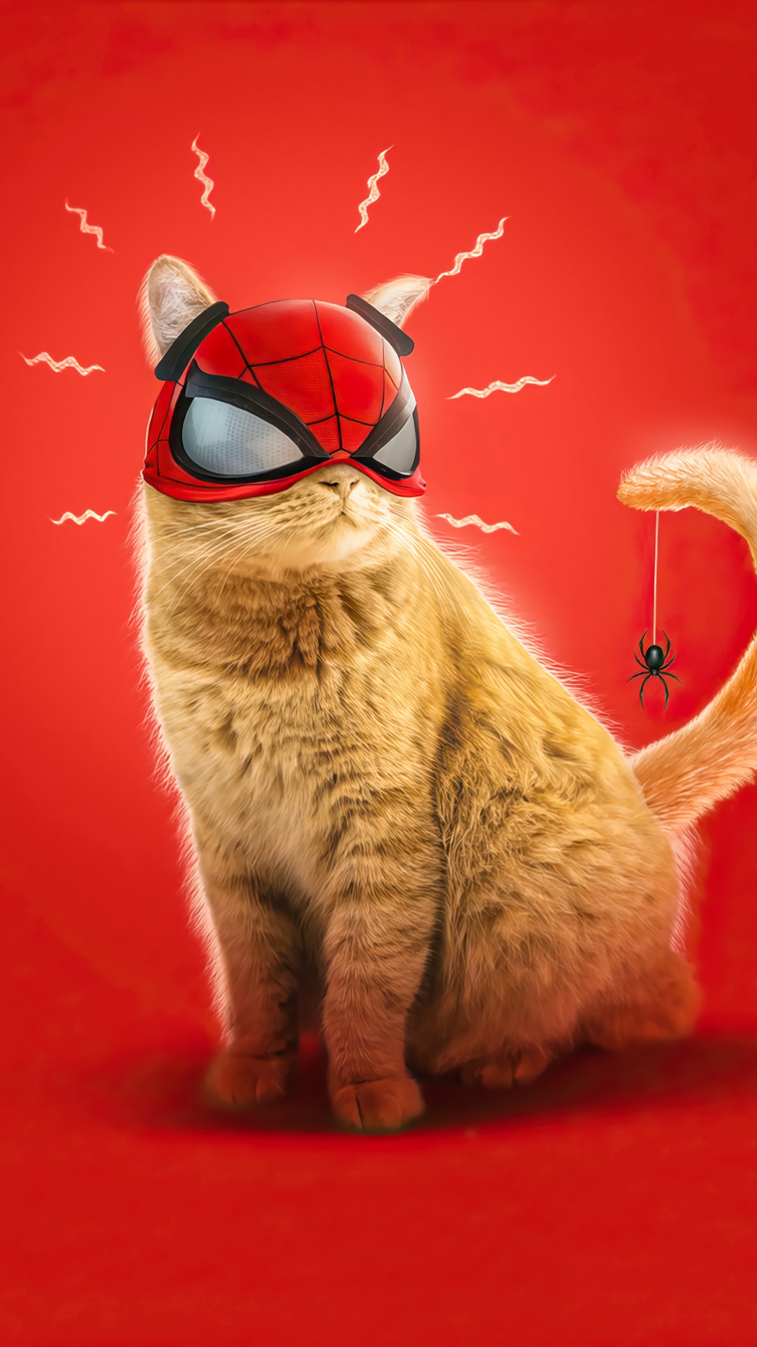 Orange cat wearing a Spider-Man mask with a spider hanging from its tail HD Phone Wallpaper