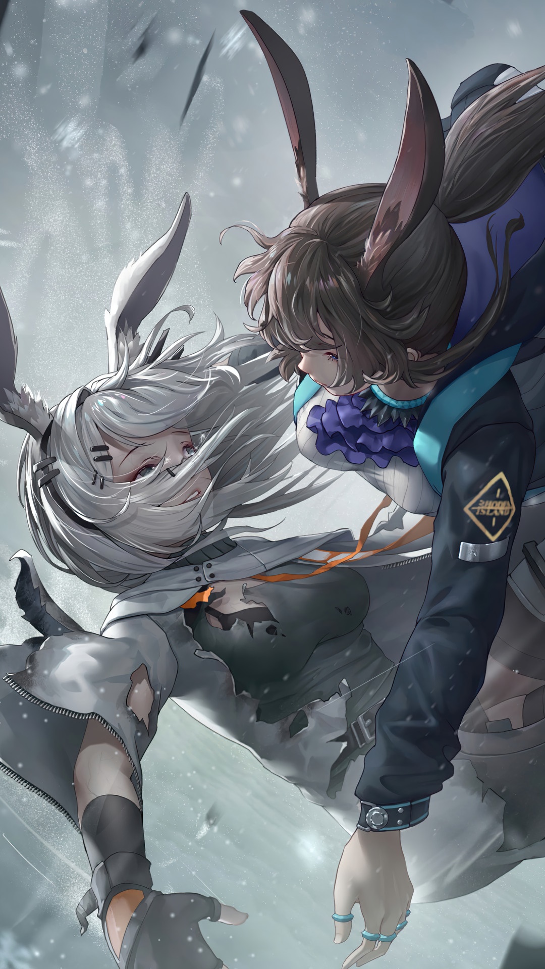 Frostnova and Amiya from Arknights HD Phone Wallpaper