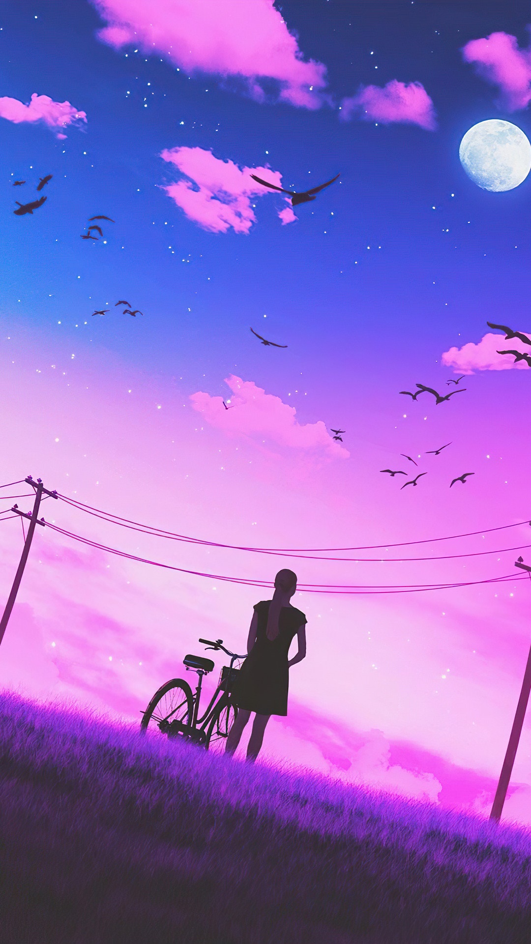 Silhouette of a girl with a bicycle under a starry night sky HD Phone Wallpaper