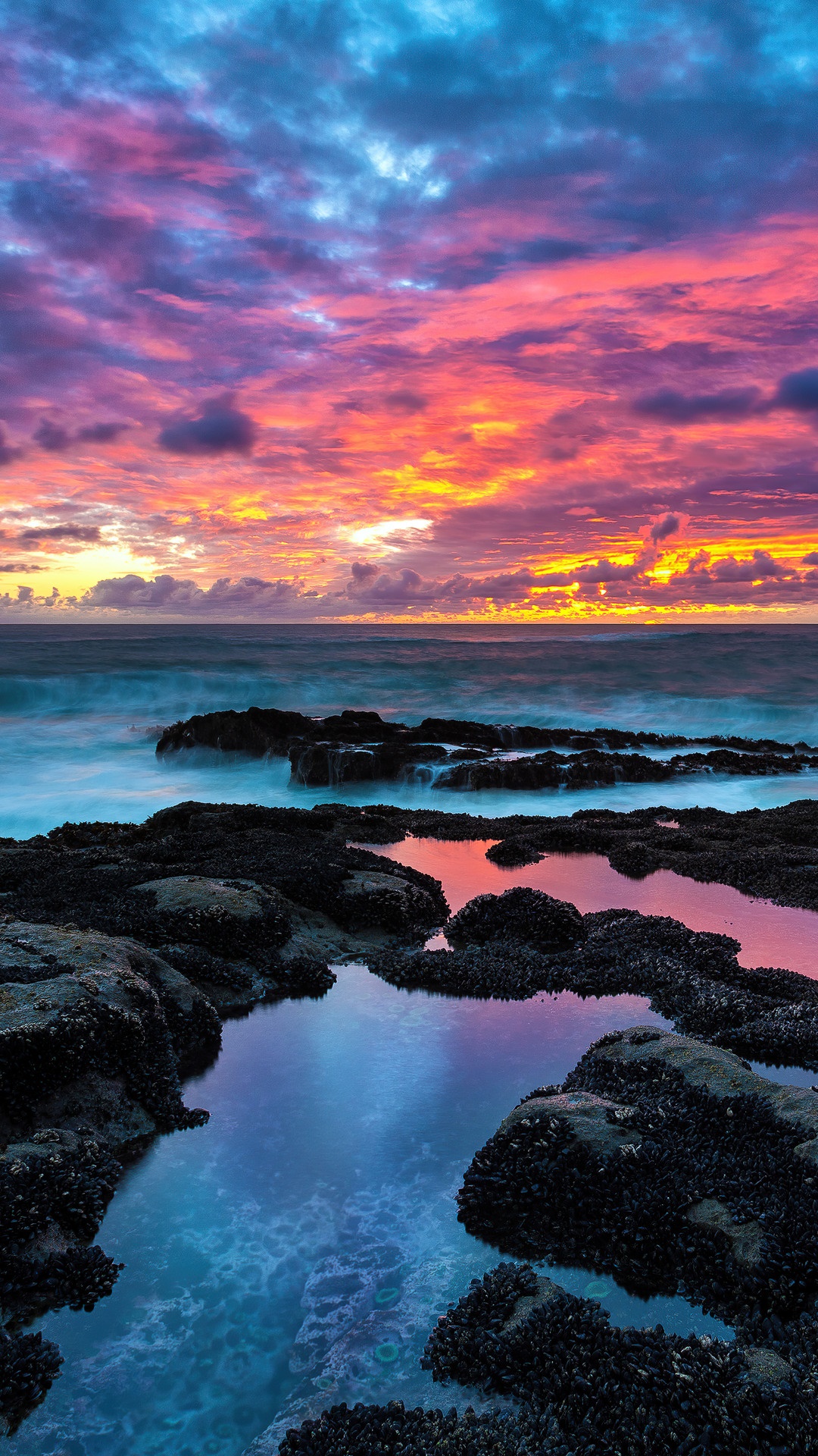 Sunset over the ocean with rocky coast and tide pools HD Phone Wallpaper