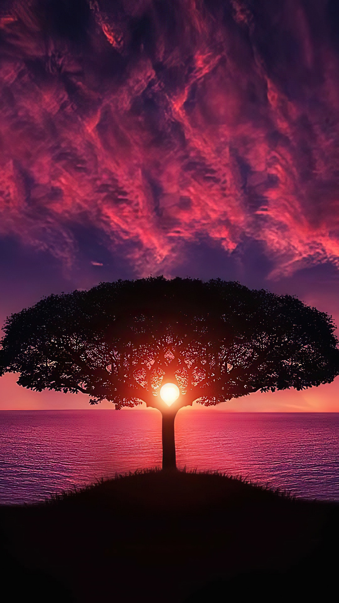 Silhouette of a tree against a vibrant sunset over the ocean HD Phone Wallpaper