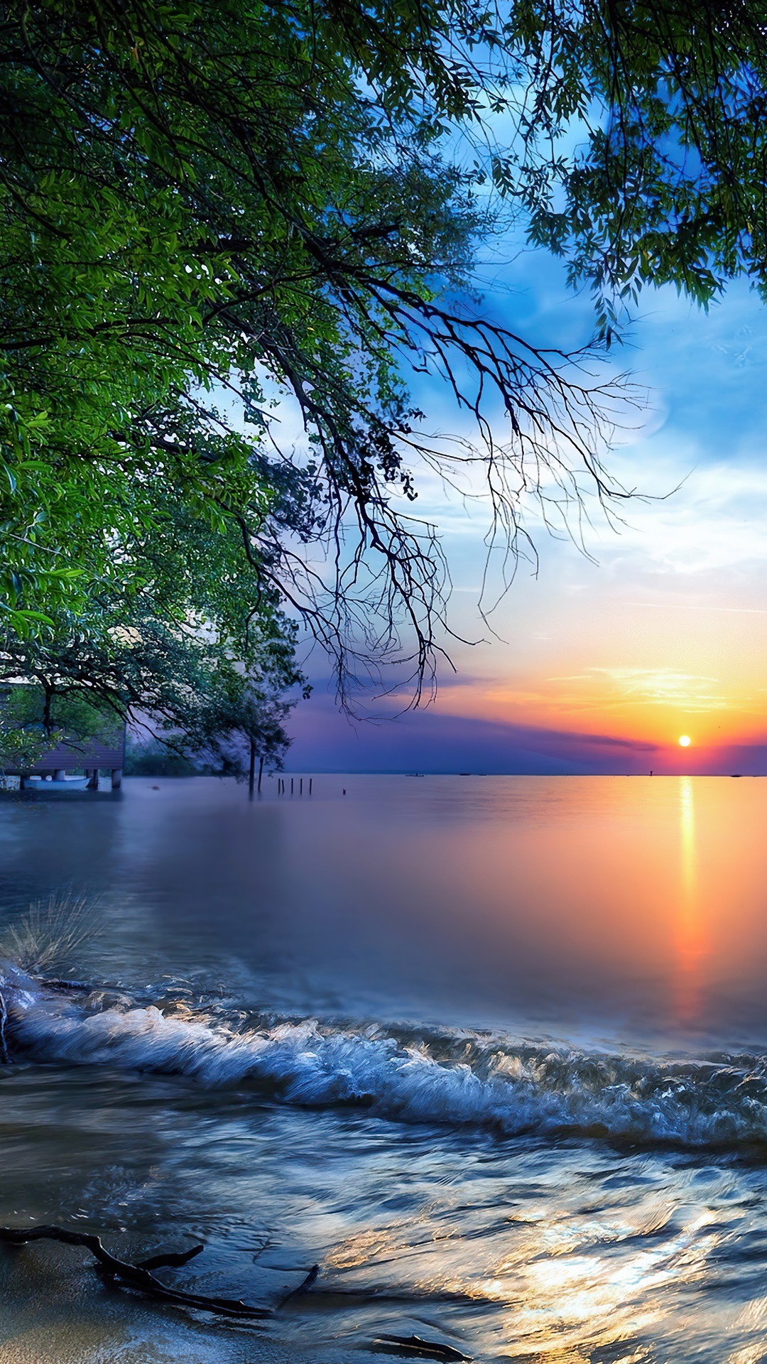 Sunrise over the sea with trees and waves HD Phone Wallpaper