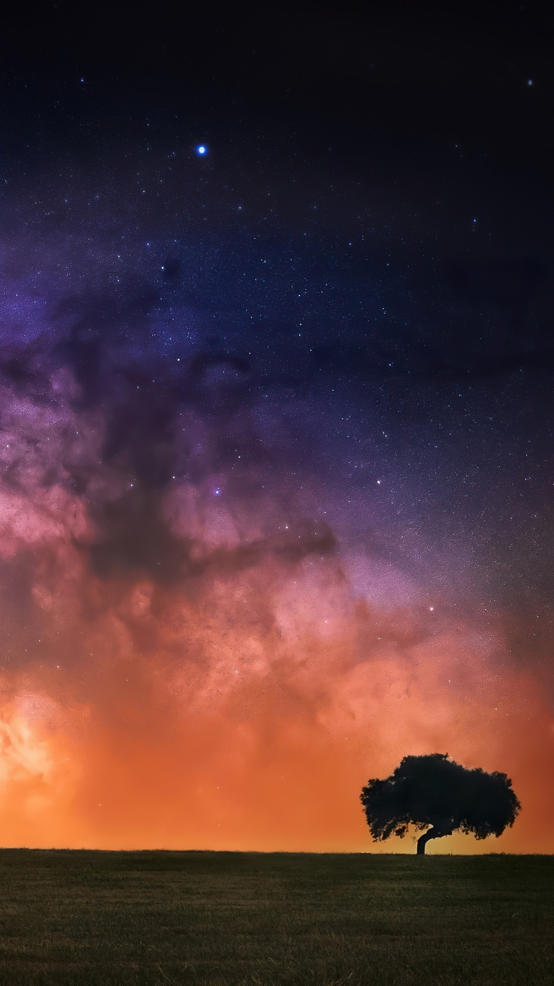 Lone tree under a starry night sky with colorful clouds HD Phone Wallpaper