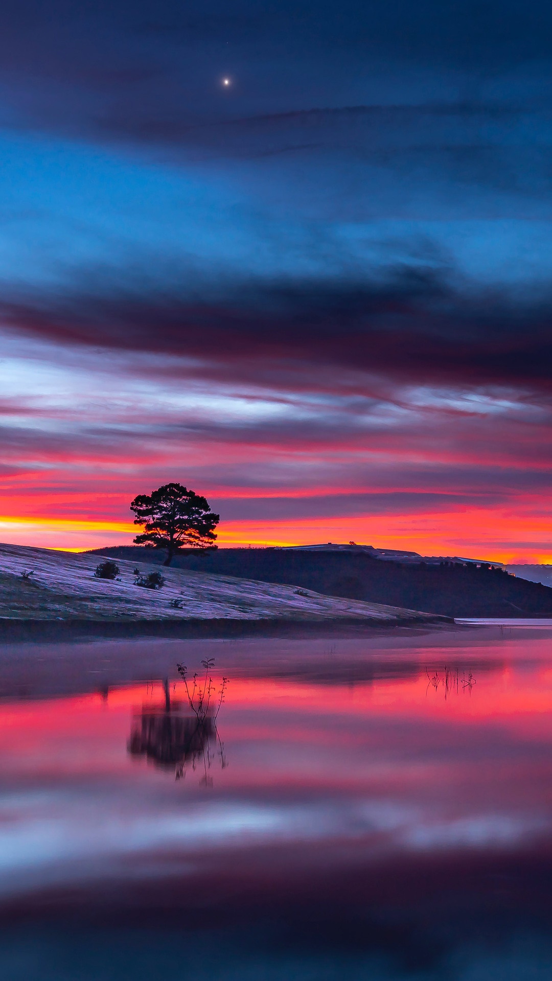 Sunset over a lake with a lone tree and reflection HD Phone Wallpaper