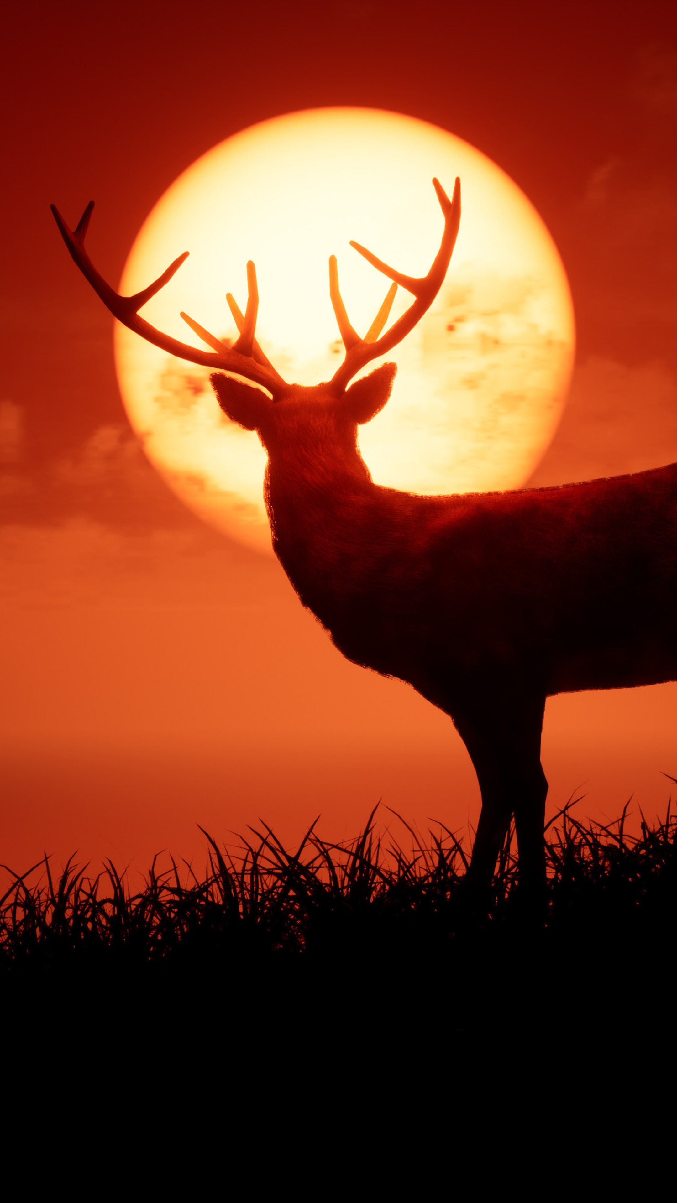 Deer silhouetted against a large, orange sun HD Phone Wallpaper
