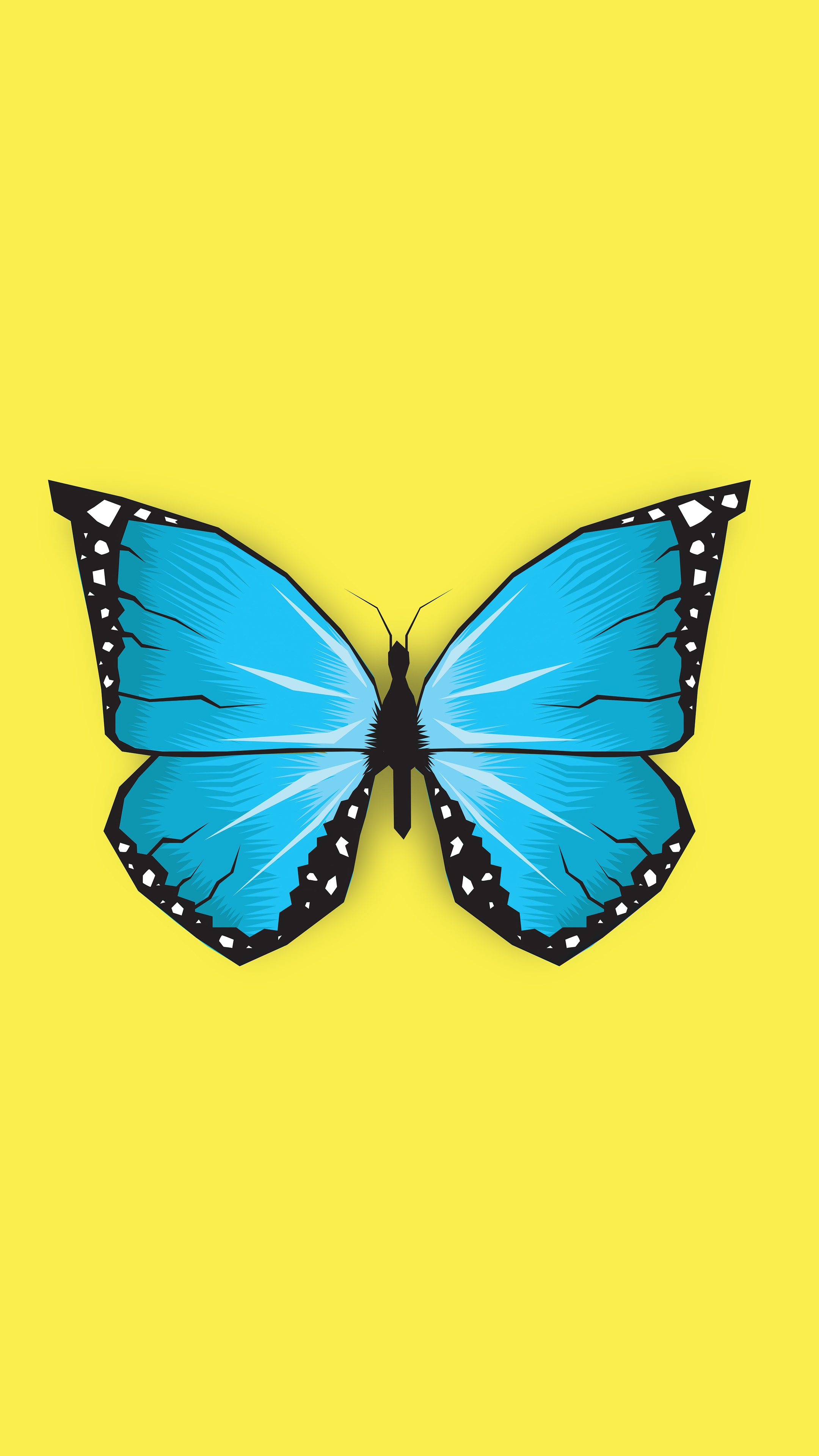 Blue butterfly on a yellow background HD Phone Wallpaper