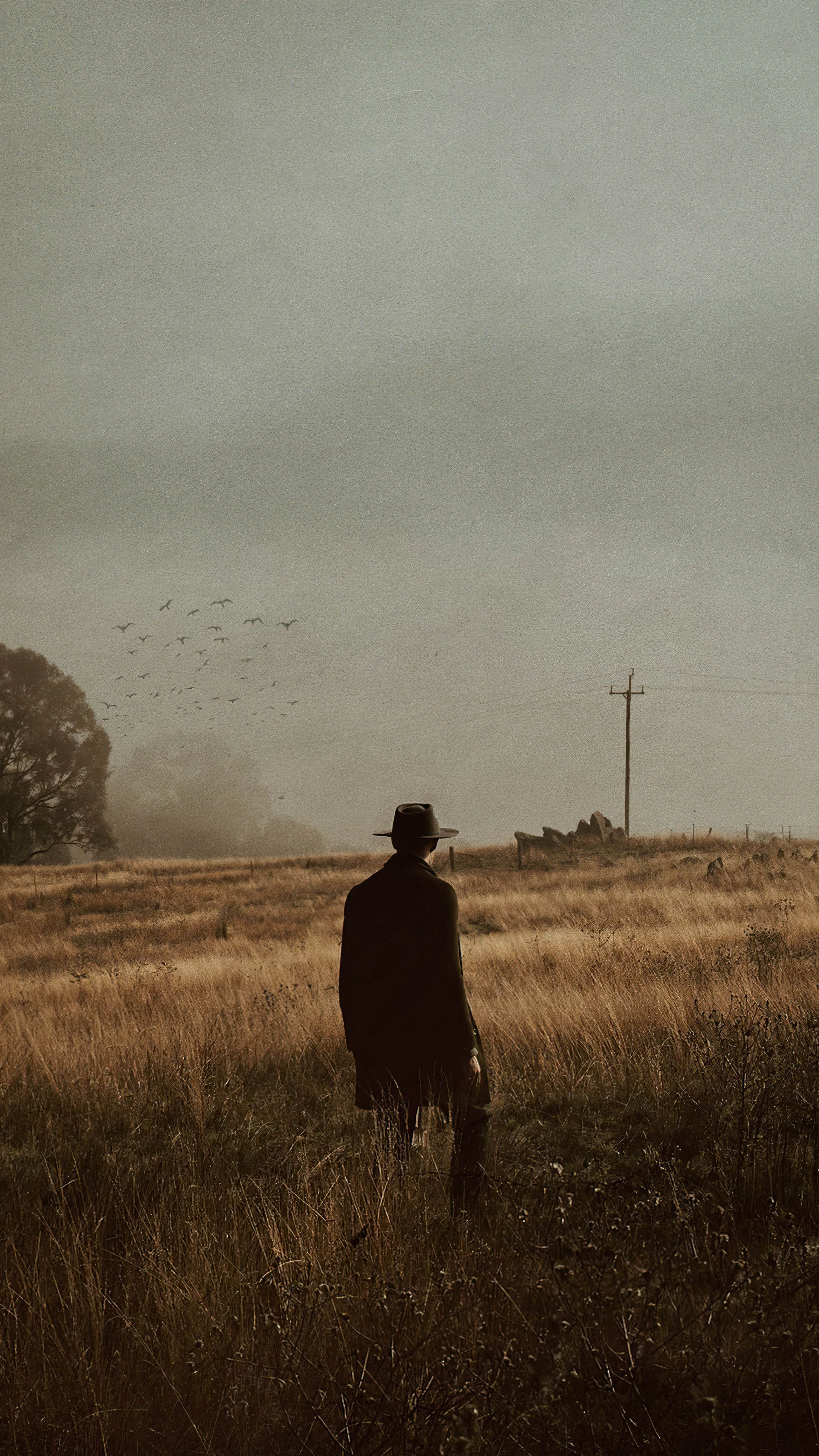 Man in hat walking through field HD Phone Wallpaper